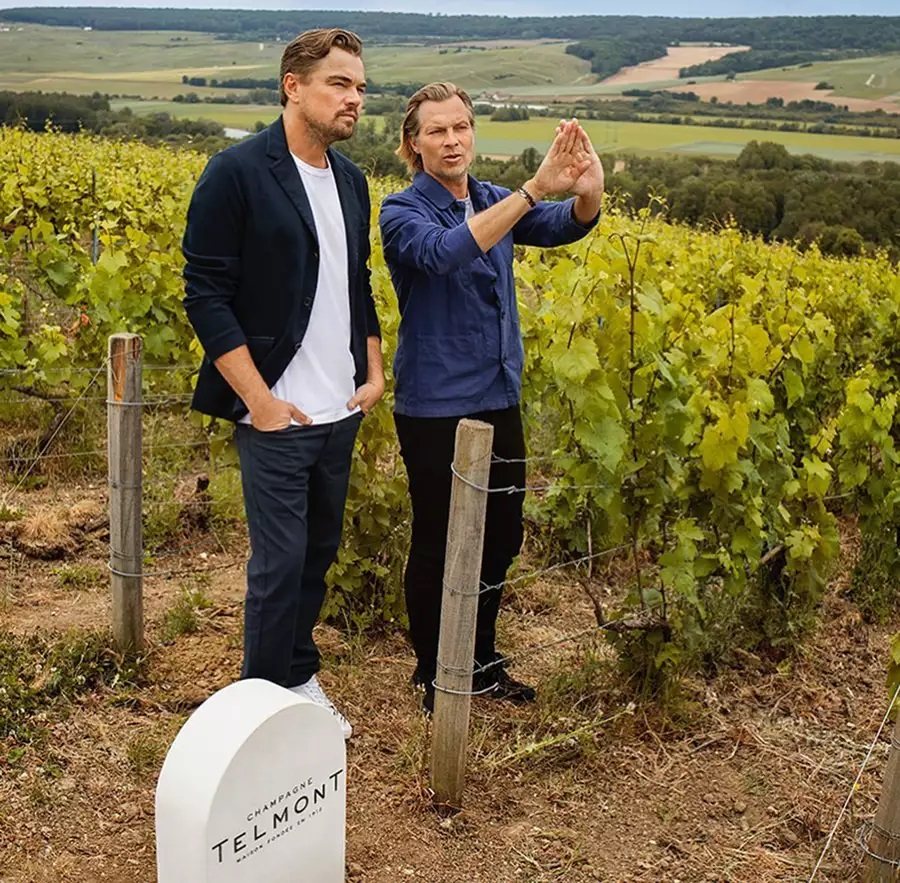 Leonardo DiCaprio is a high-profile investor in Telmont champagne. Photos: Handout