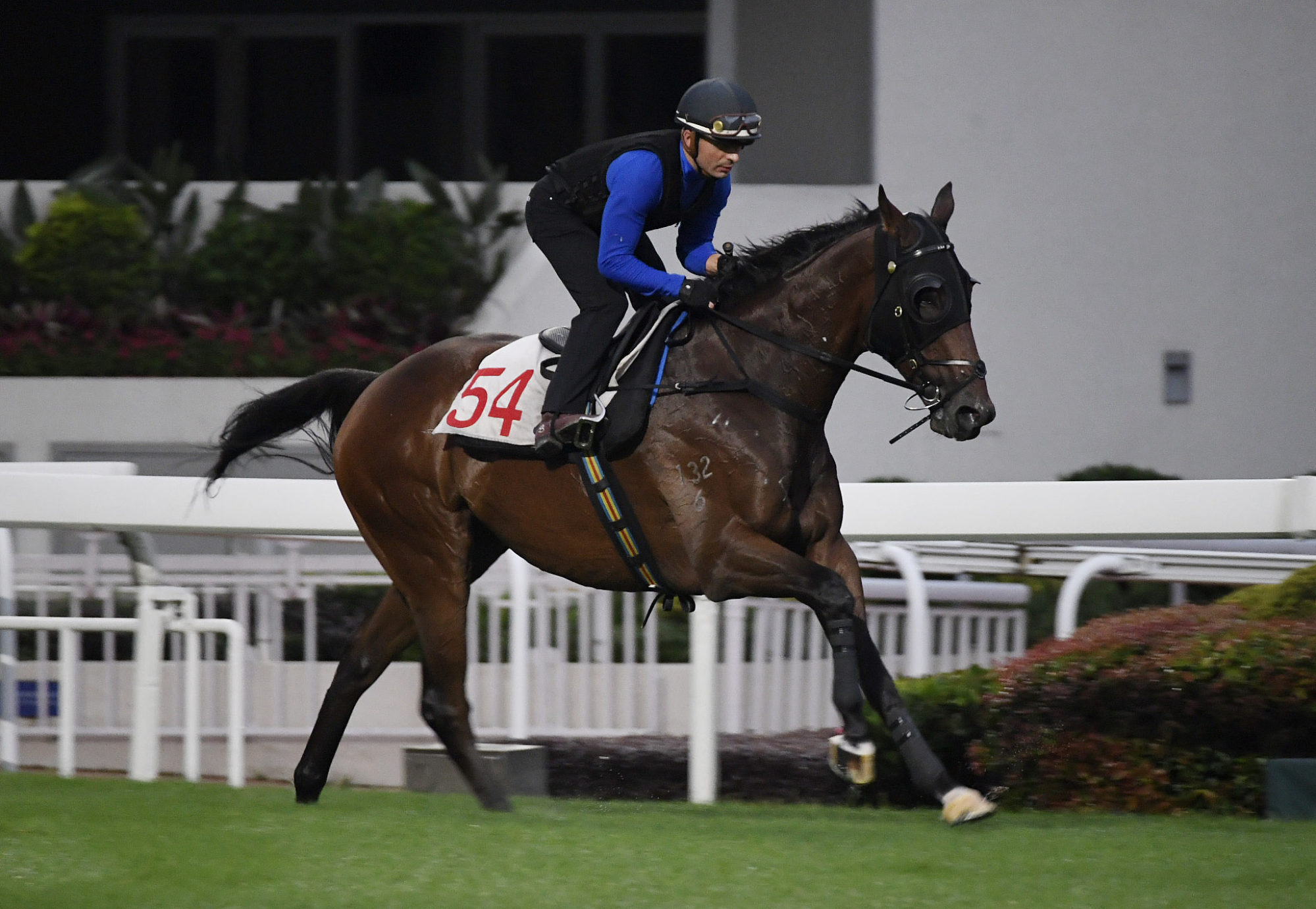Andrea Atzeni gallops Tourbillon Diamond on the Sha Tin turf on Tuesday morning.