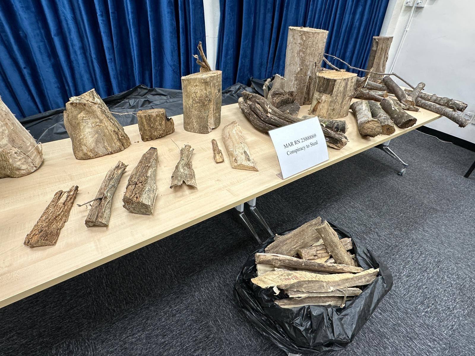 Police display the prized wood seized during the operation. The five suspects were arrested over conspiracy to steal. Photo: Handout