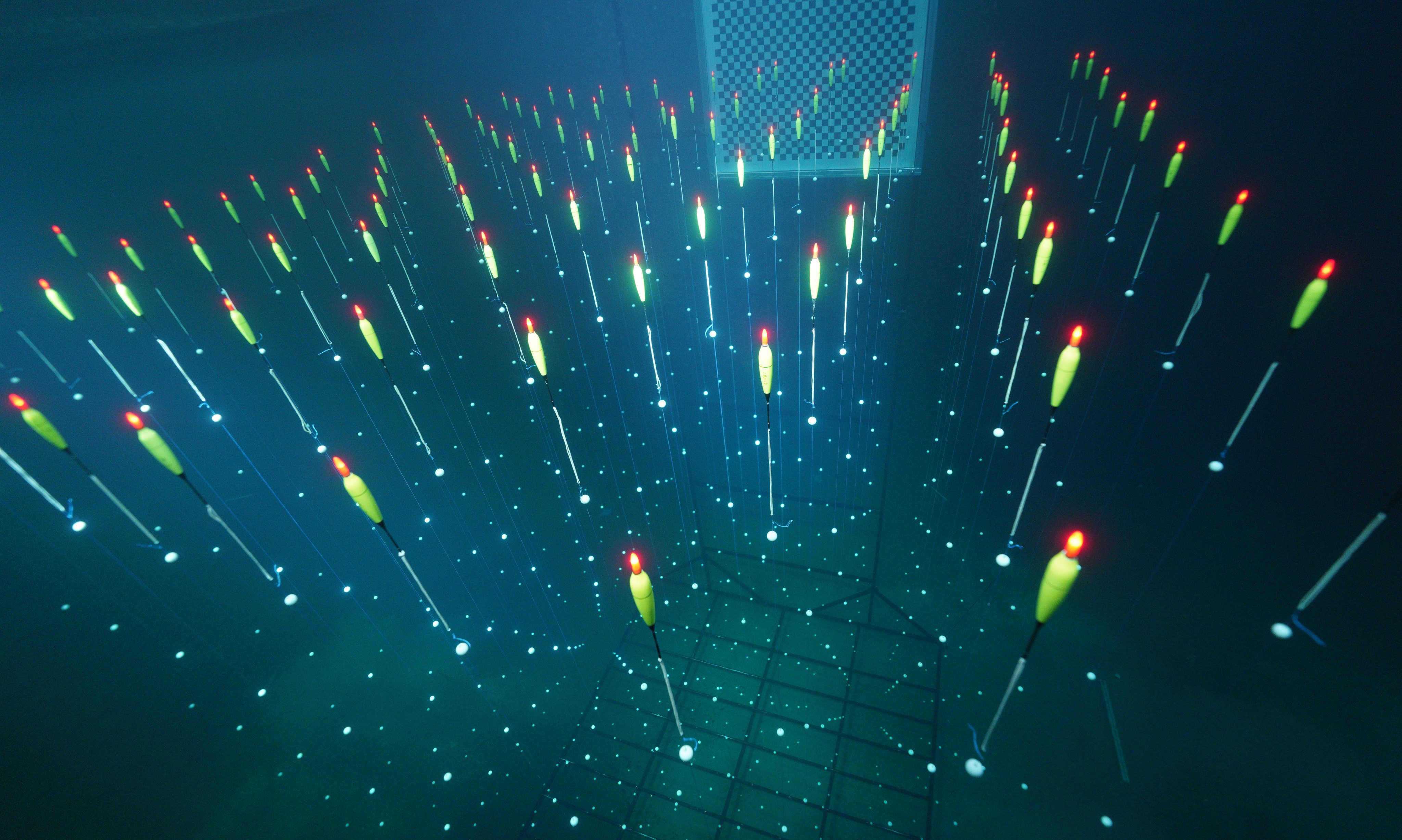 China’s Tropical Deep-sea Neutrino Telescope will consist of 1,200 strings of sensors anchored to the seabed 3.5km (2.2 miles) below the South China Sea. Illustration: Shanghai Jiao Tong University