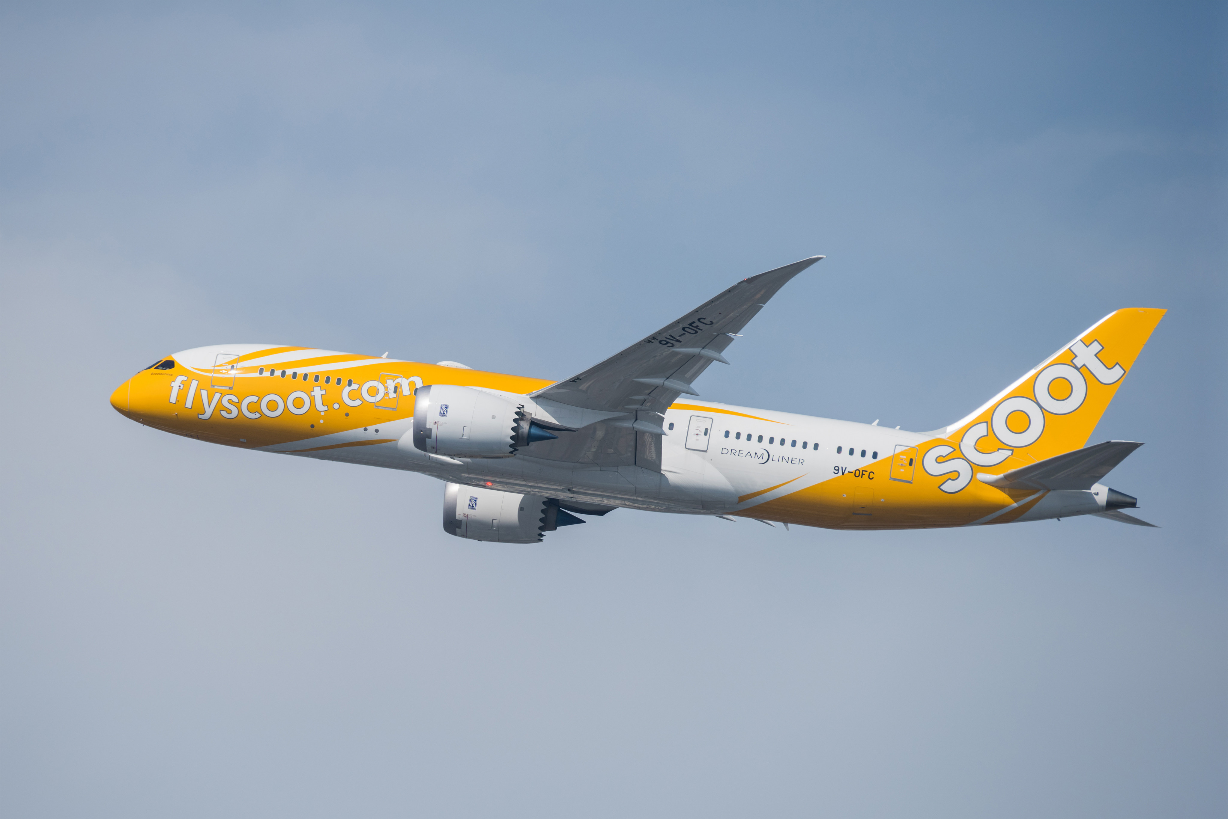 A Scoot Airlines flight. Photo: Shutterstock