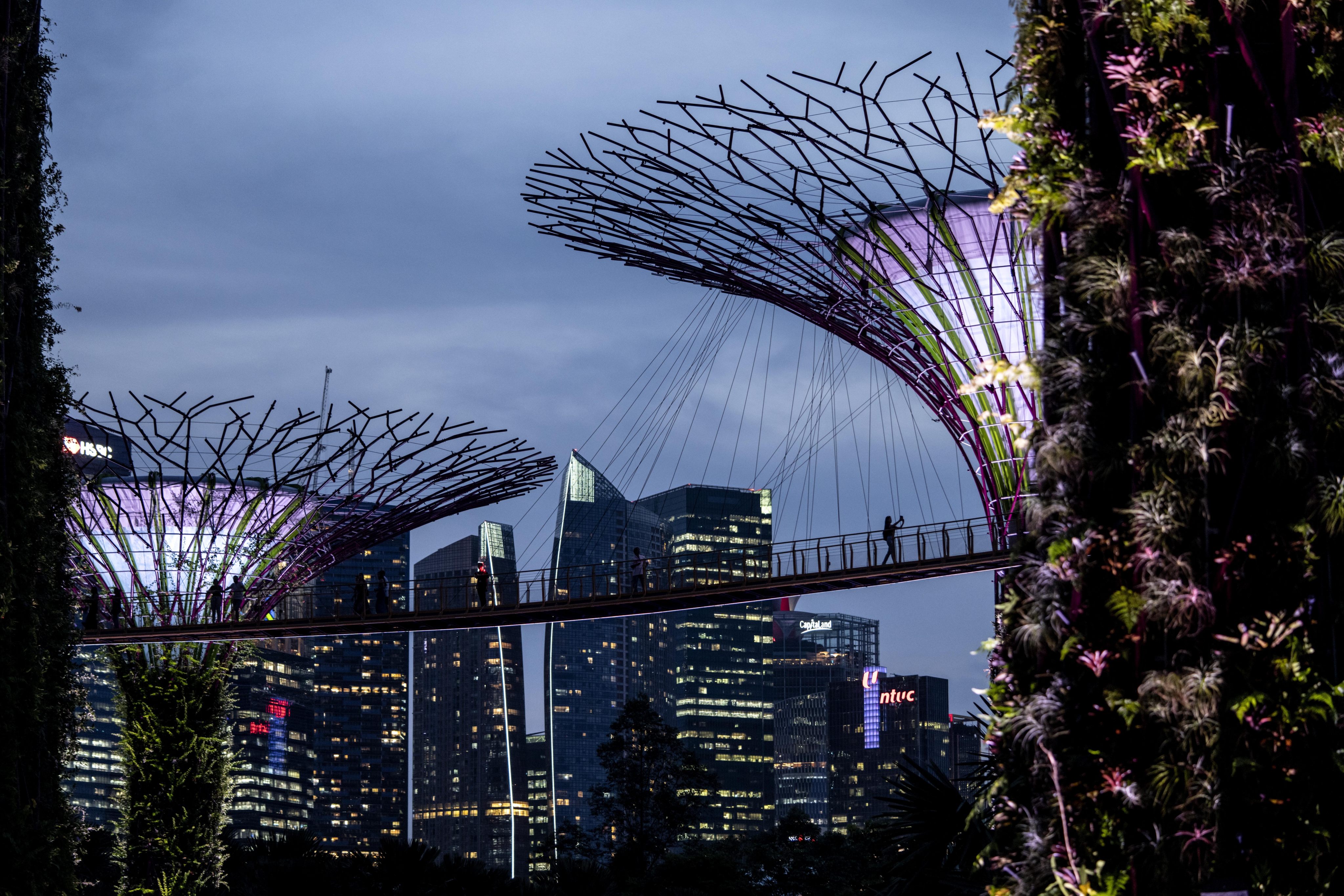 A visitor walks between the Supertree structures at Gardens by the Bay in Singapore. On Thursday, the man pleaded guilty to one charge of sexual exploitation of a child under the age of 16. Photo: AP
