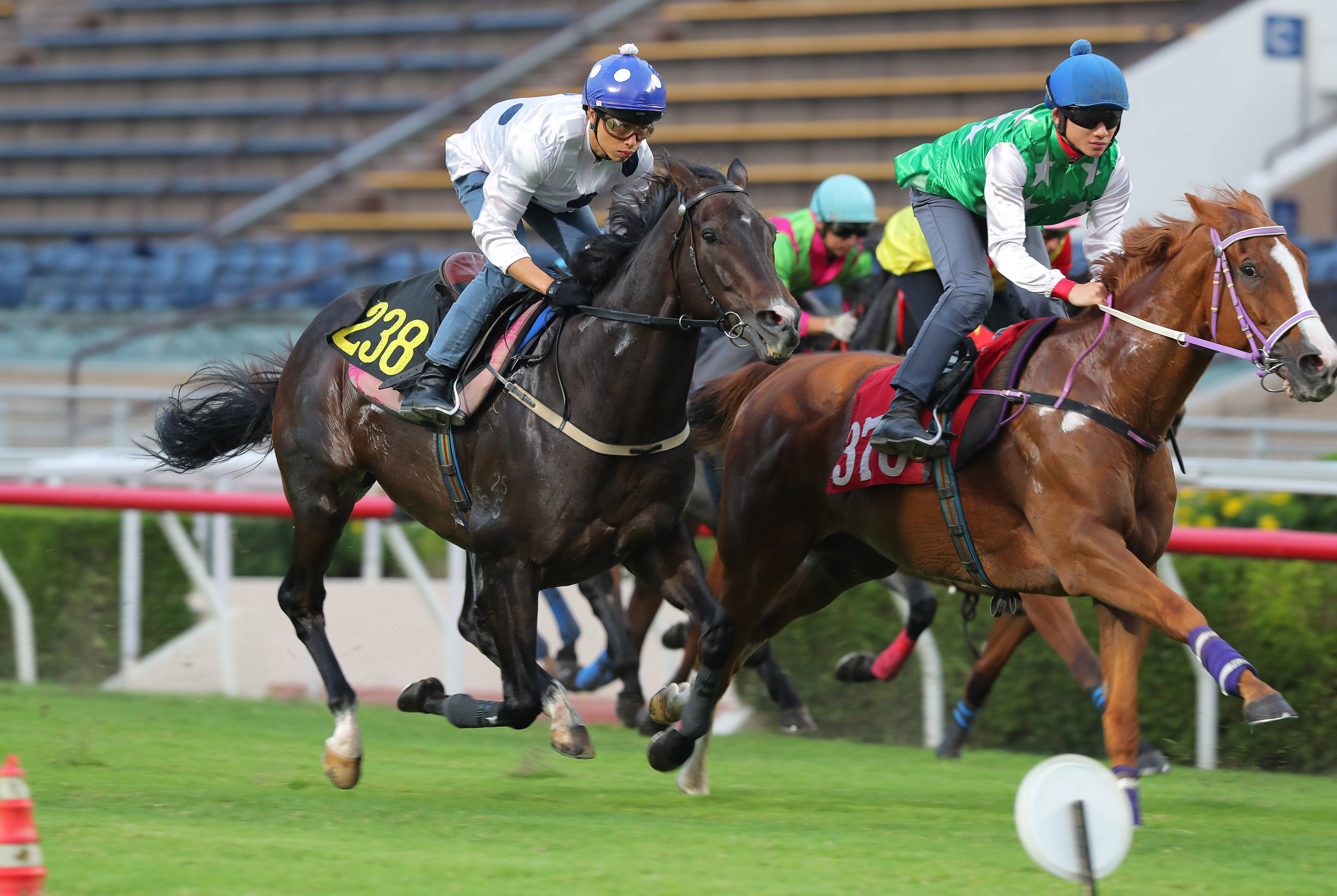 Golden Sixty finishes sixth in his Sha Tin turf trial on Tuesday morning. Photos: Kenneth Chan