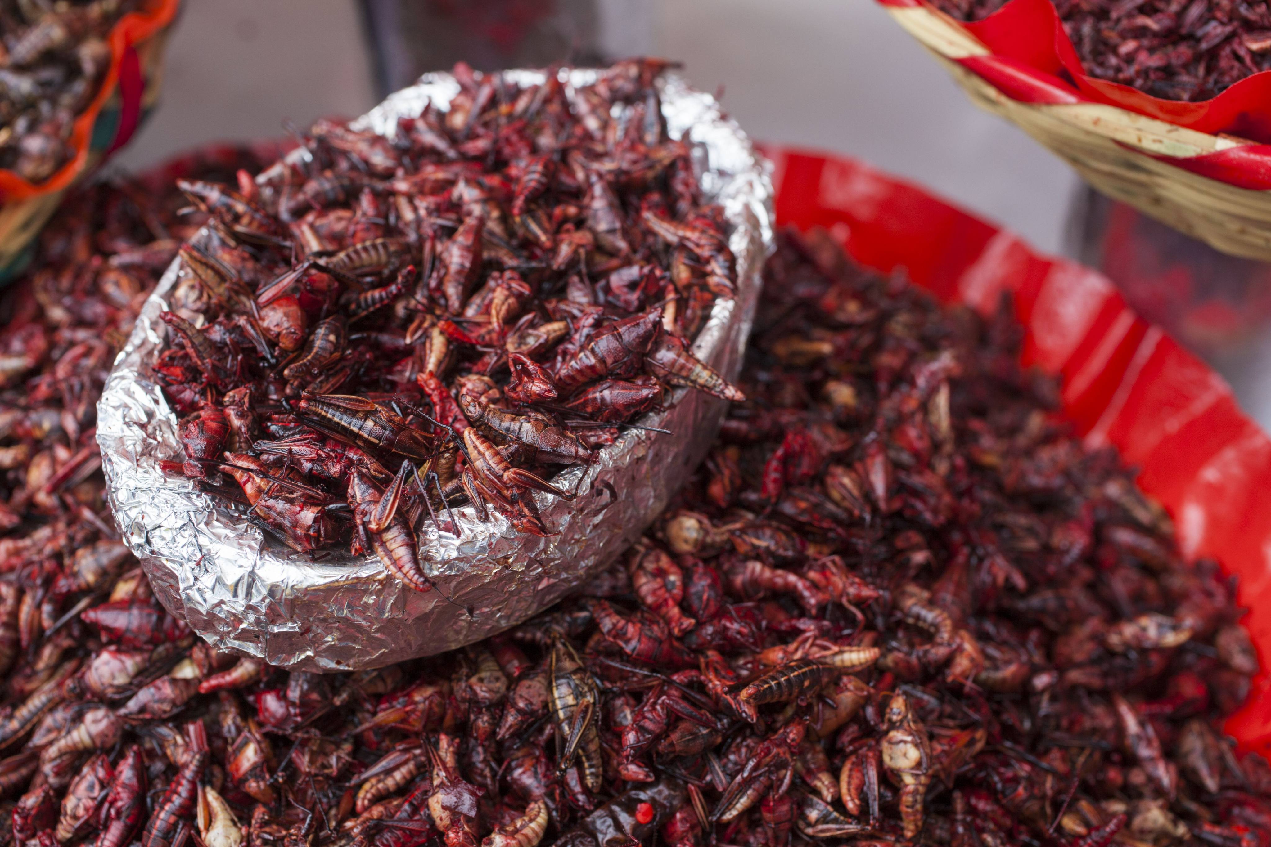 Chapulines, or grasshoppers, at a market in Mexico. Photo: Getty Images