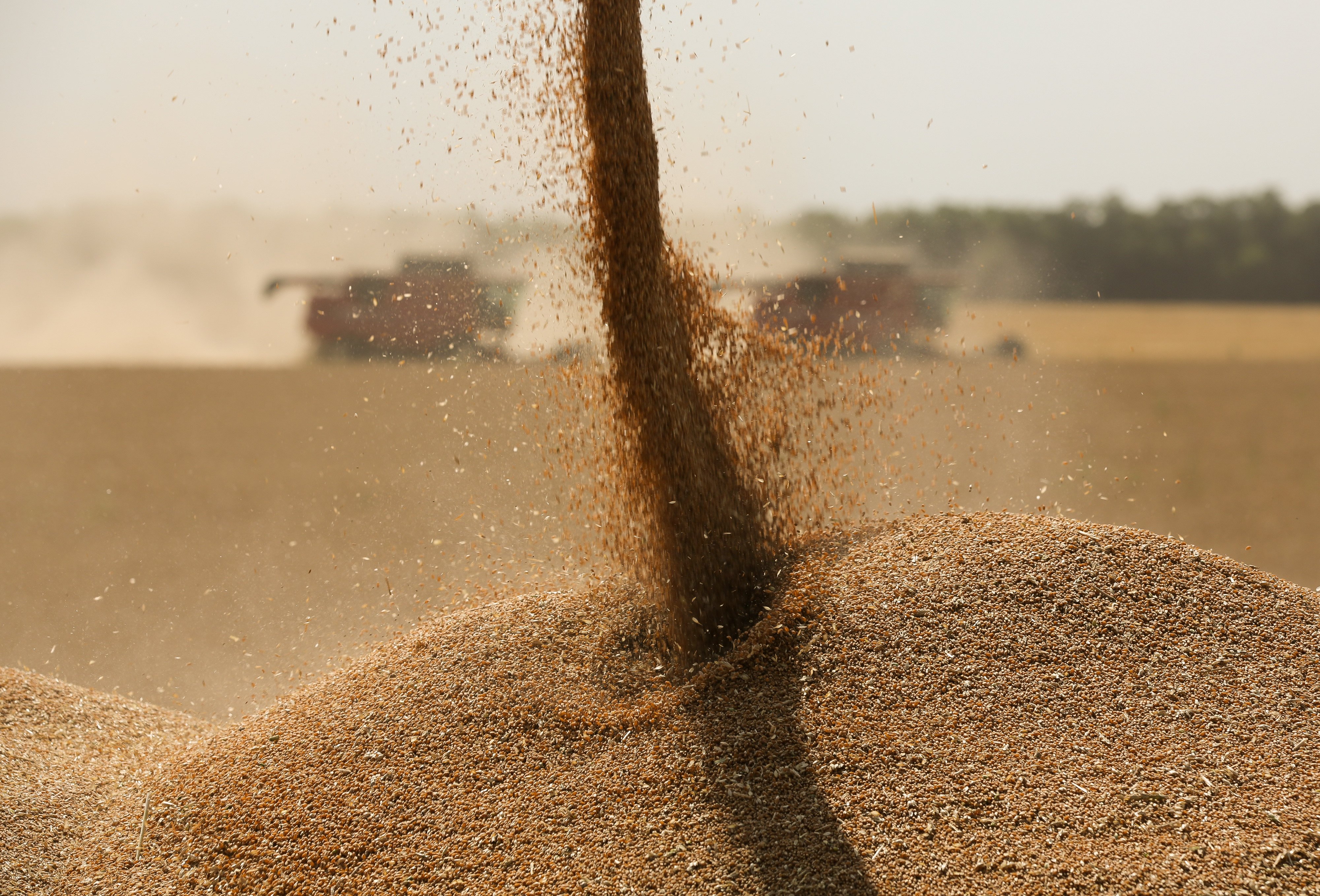 Russia will deliver 70 million tonnes of grain, legumes and oilseeds to China over the next 12 years, under the terms of a new deal. Photo: Bloomberg