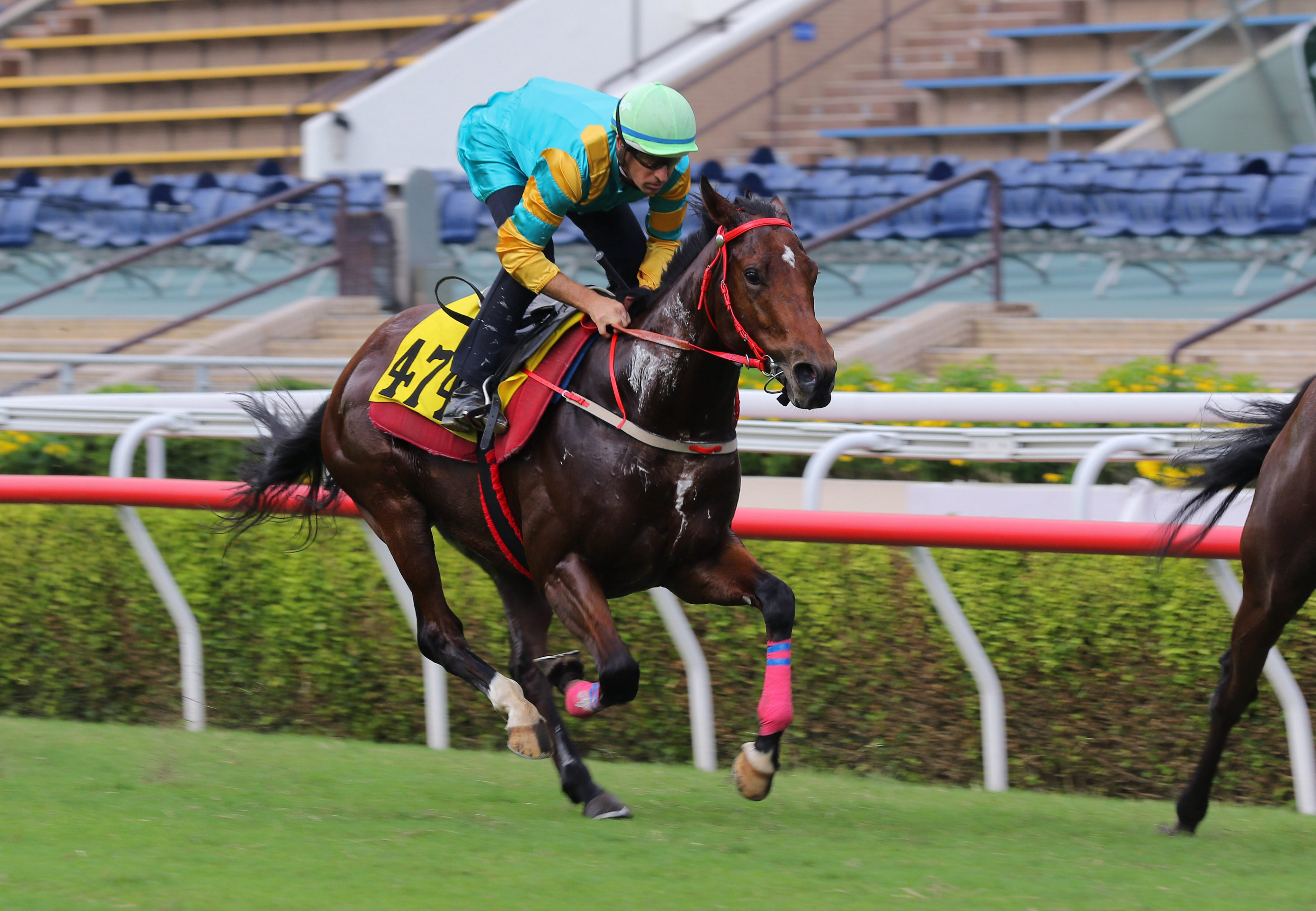 Moments In Time finishes second in his Sha Tin turf trial under Hugh Bowman. Photos: Kenneth Chan