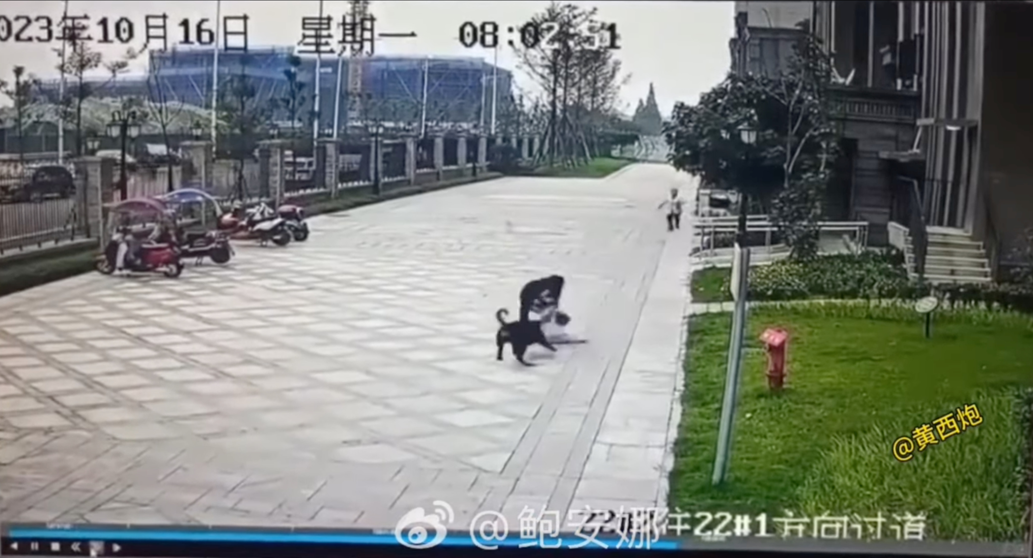 Screengrab from viral security footage shows a woman try to snatch the child away to safety as the dog continues its attack. Photo: Weibo 