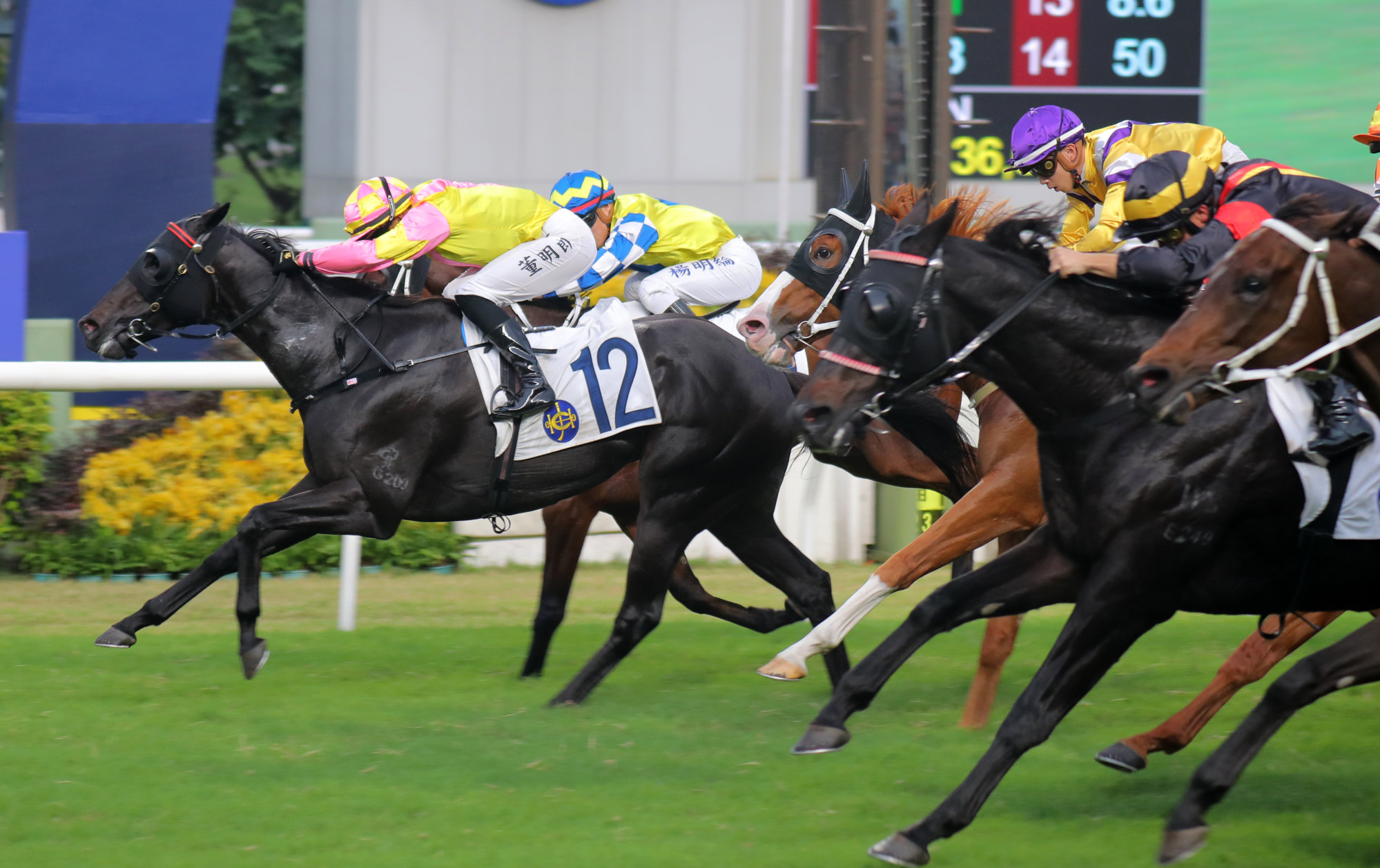 Keagan de Melo drives Rising From Ashes to victory at Sha Tin on Sunday.