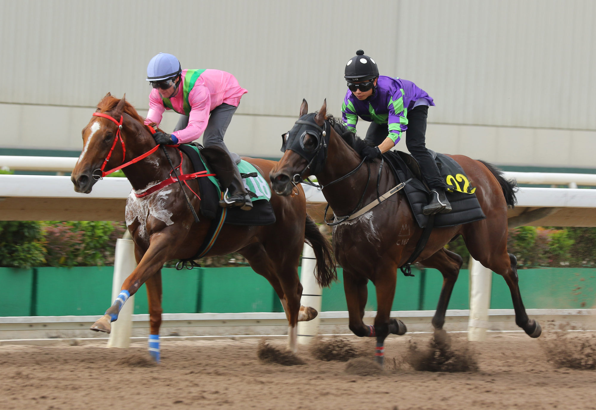 Zac Purton trials Stand Up (left) over 1,050m at Sha Tin on September 26.