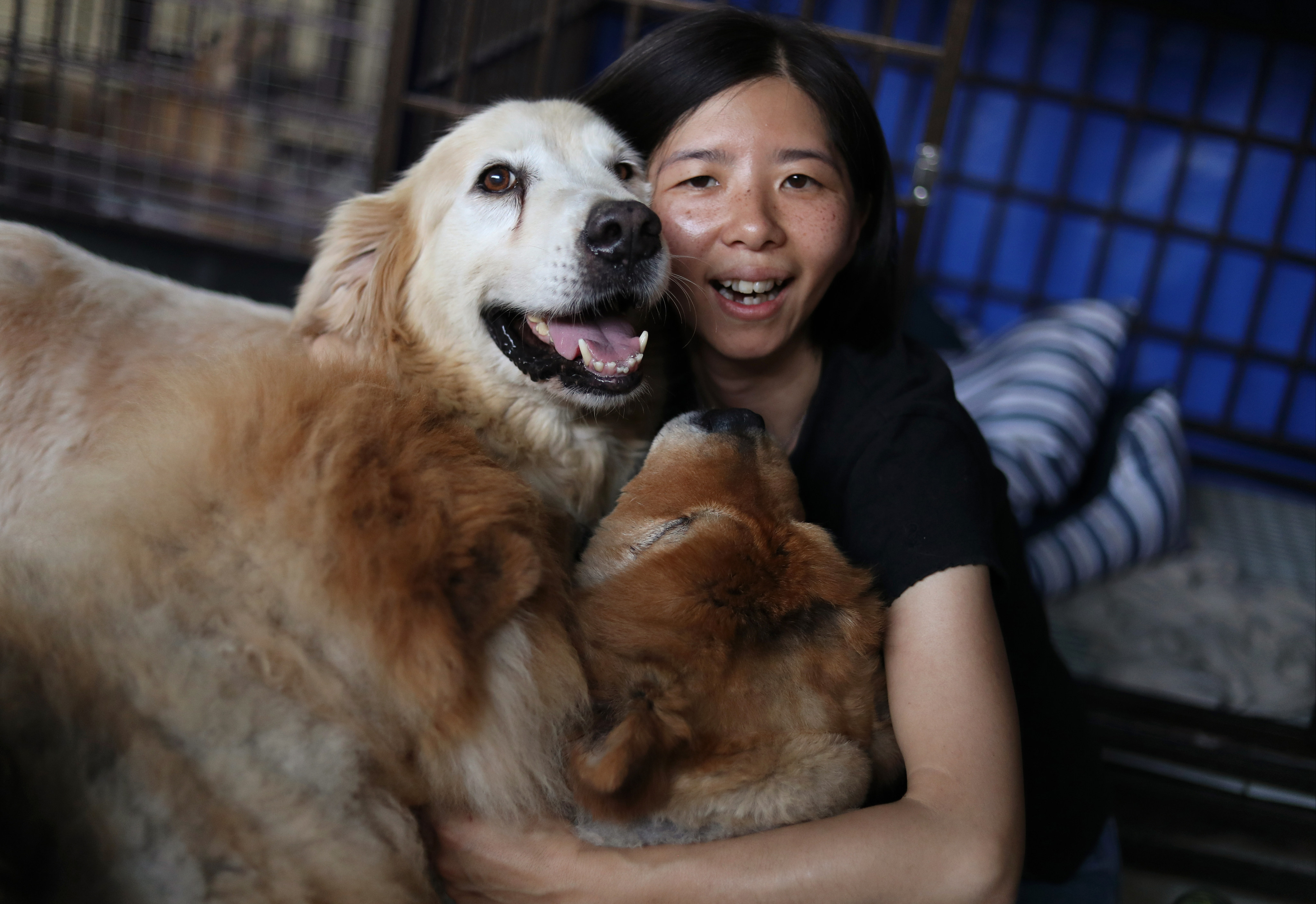 Ivy Tse is the founder of House of Joy and Mercy, which has two shelters for abandoned dogs. Photo: Winson Wong
