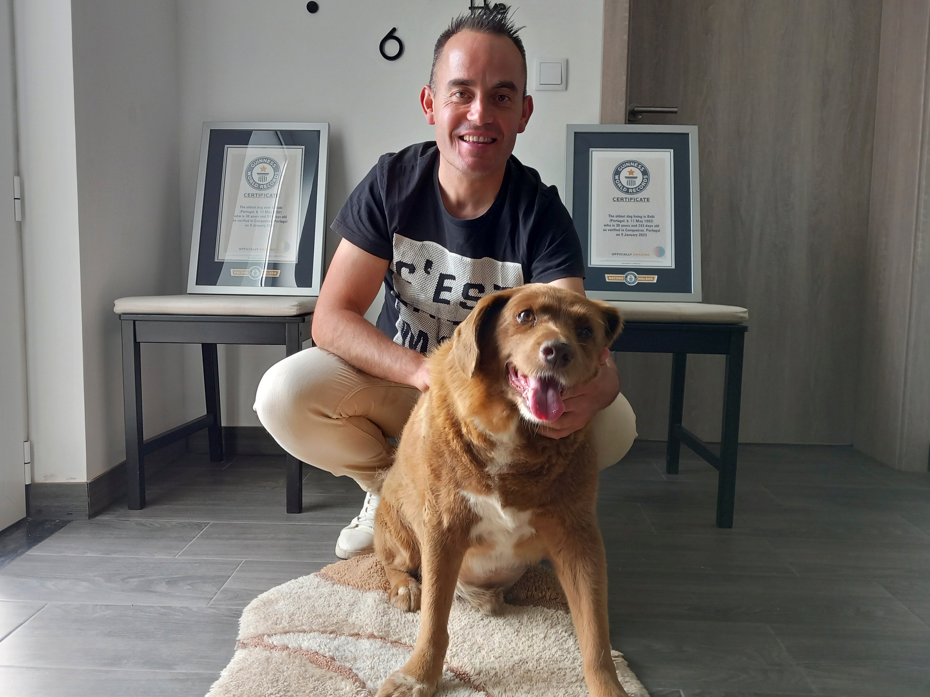 Bobi, a purebred Rafeiro do Alentejo Portuguese dog, with his owner Leonel Costa and his Guinness World Record certificates, at their home in Conqueiros, Portugal in May. Bobi died on Saturday at 31 years and 165 days of age. Photo: AP 