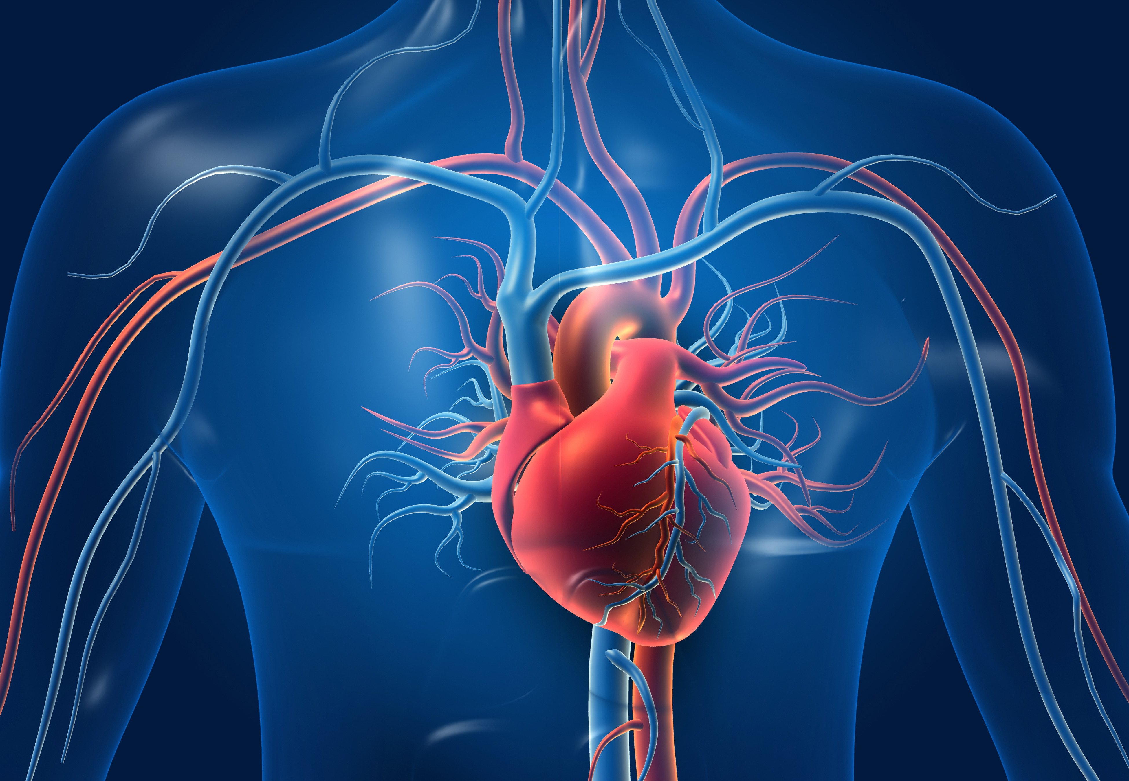 There have been promising results from a clinical trial of traditional Chinese medicine Tongxinluo in preventing serious heart attack. Photo: Shutterstock