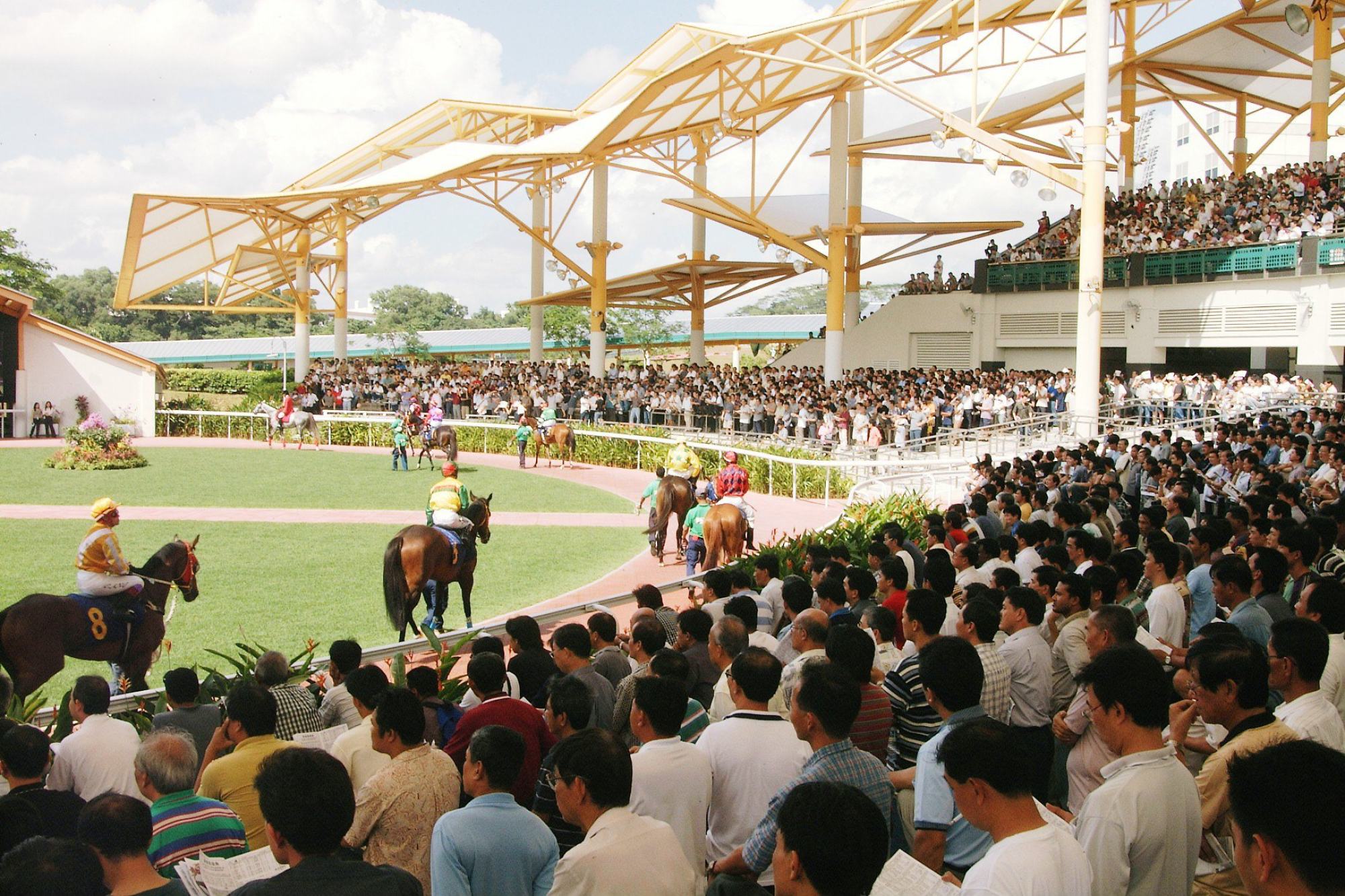 Horses enter the Parade Ring at Kranji during Greg Carpenter’s time at the Malayan Racing Association. Photo: SCMP Horses enter the Parade Ring at Kranji during Greg Carpenter’s time at the Malayan Racing Association. Photo: SCMP