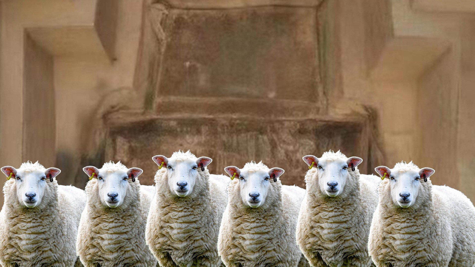A rare “six-sheep” carriage, discovered near the mausoleum of China’s first Emperor in Qin dynasty in Xian provides fresh insights into early burial practices during that era. Photo: SCMP composite/Shutterstock/CCTV