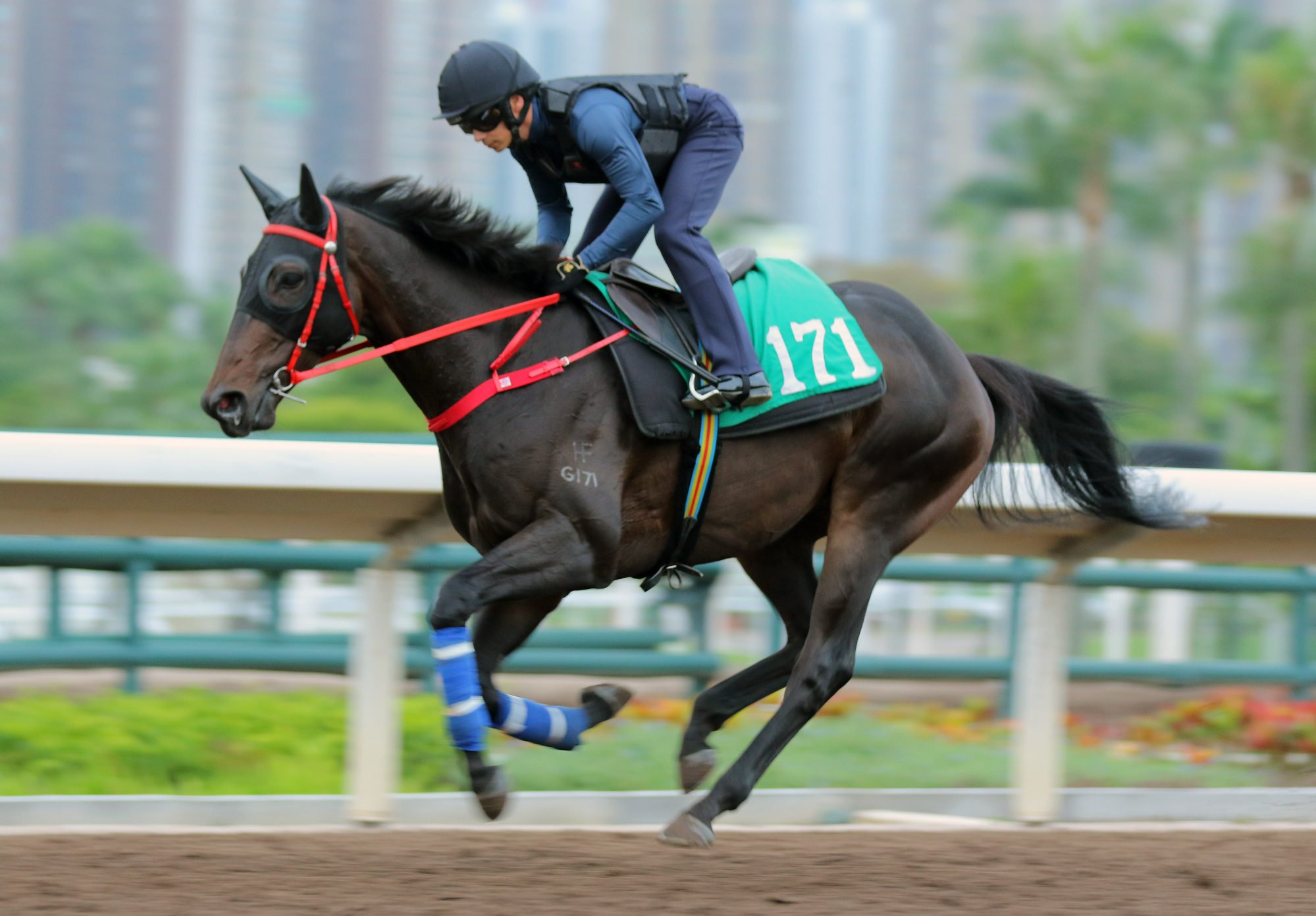 Alexis Badel gallops Money Catcher at Sha Tin last month.