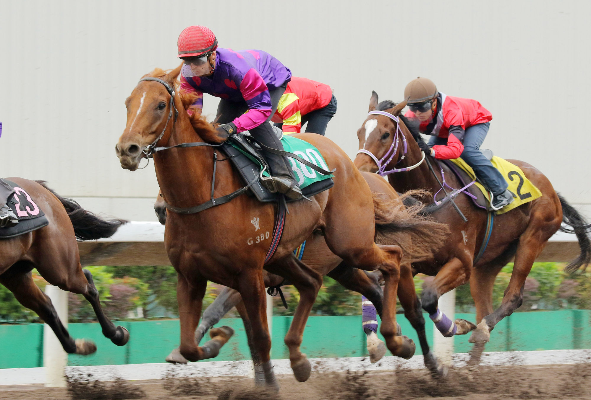 Ching finishes second in his 1,200m barrier trial at Sha Tin last month.