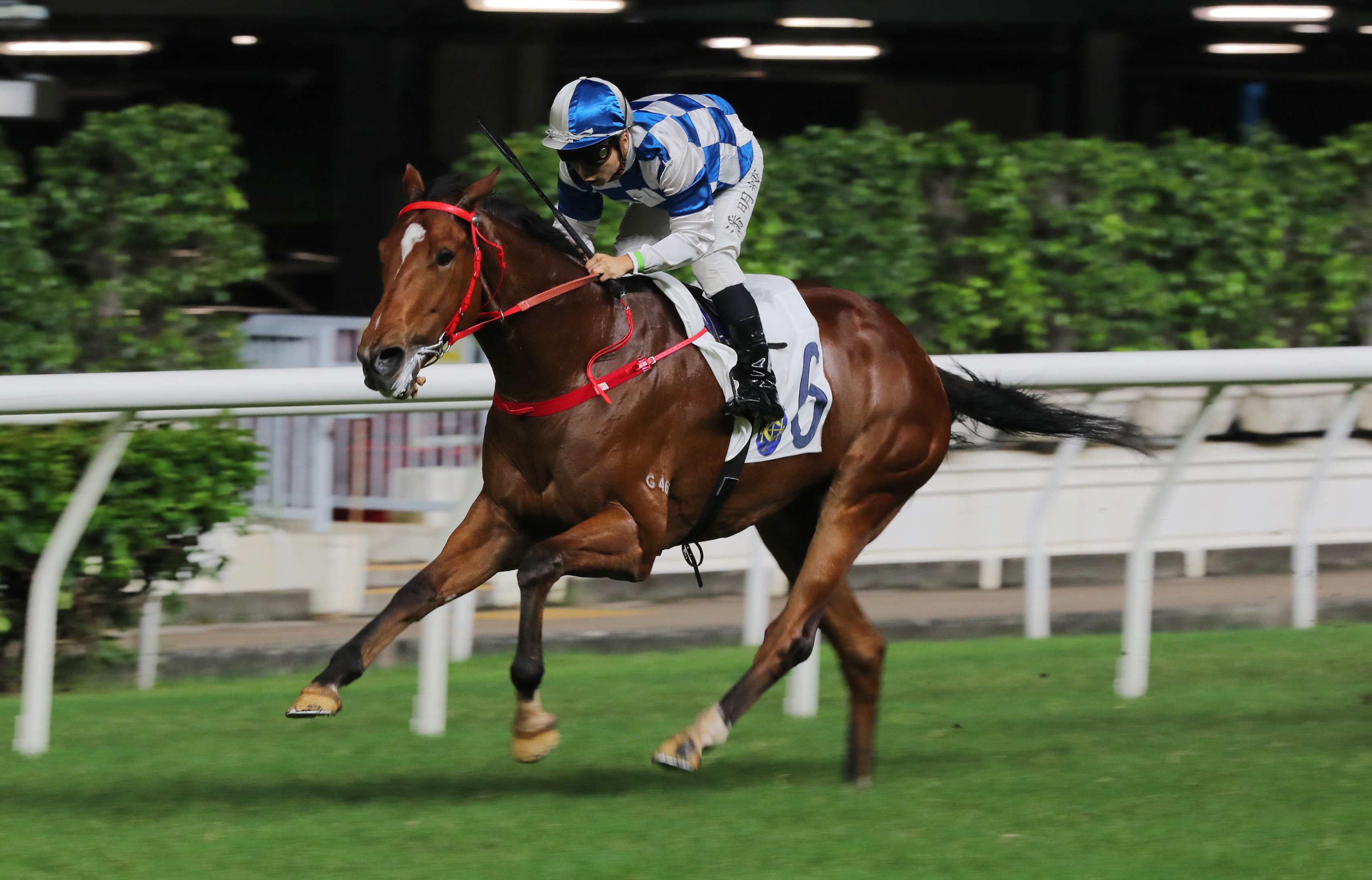 Nordic Dragon signs off for the season with a hat-trick at Happy Valley in June. Photos: Kenneth Chan