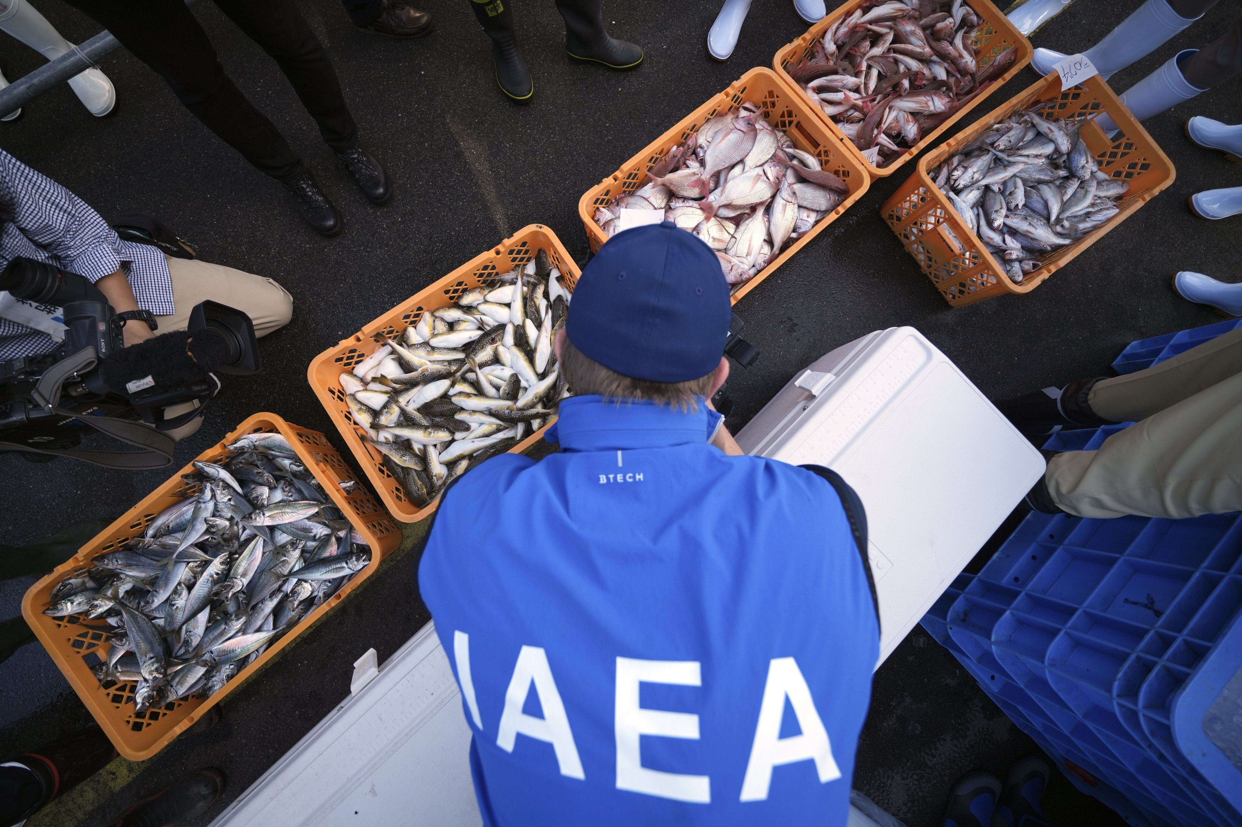 An expert from the UN’s nuclear watchdog, the International Atomic Energy Agency (IAEA), inspects fish samples at a port in Iwaki, northeastern Japan, last month. Photo: AP