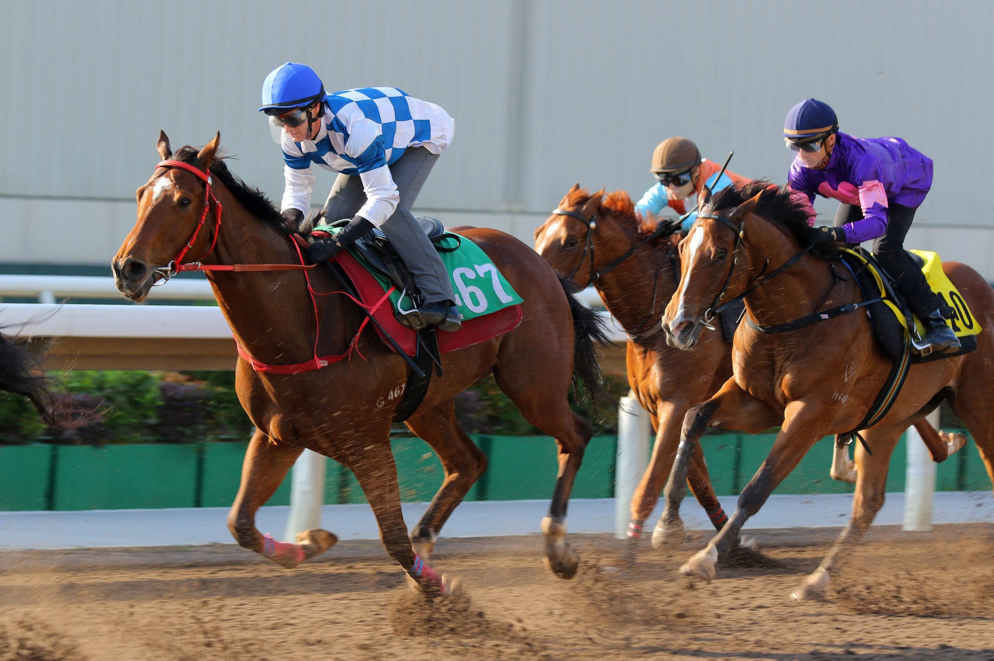 Zac Purton rides Nordic Dragon in a 1,200m barrier trial at Sha Tin last week.