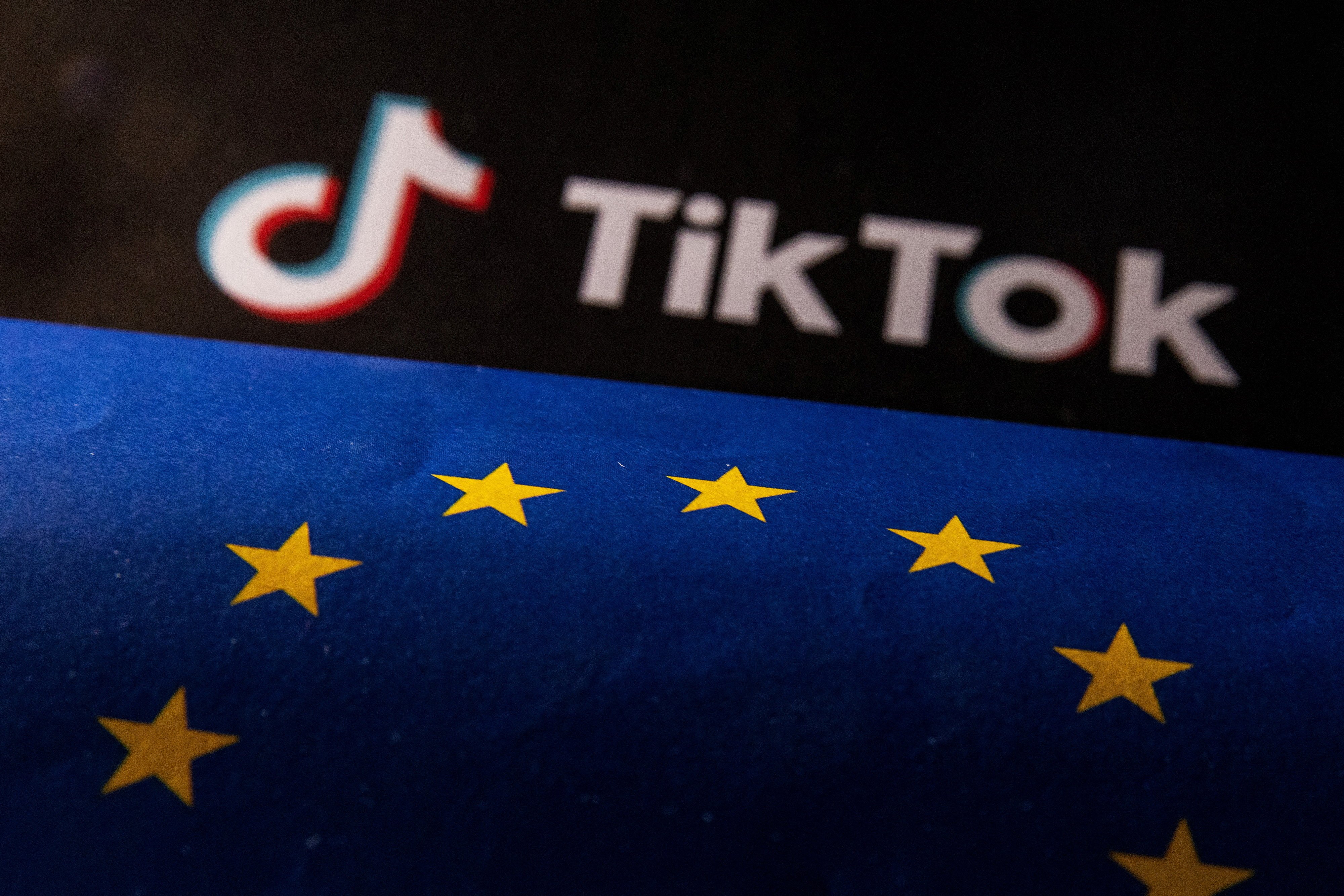 The EU has acknowledged progress from the short video platform TikTok in countering harmful content. Photo: Reuters