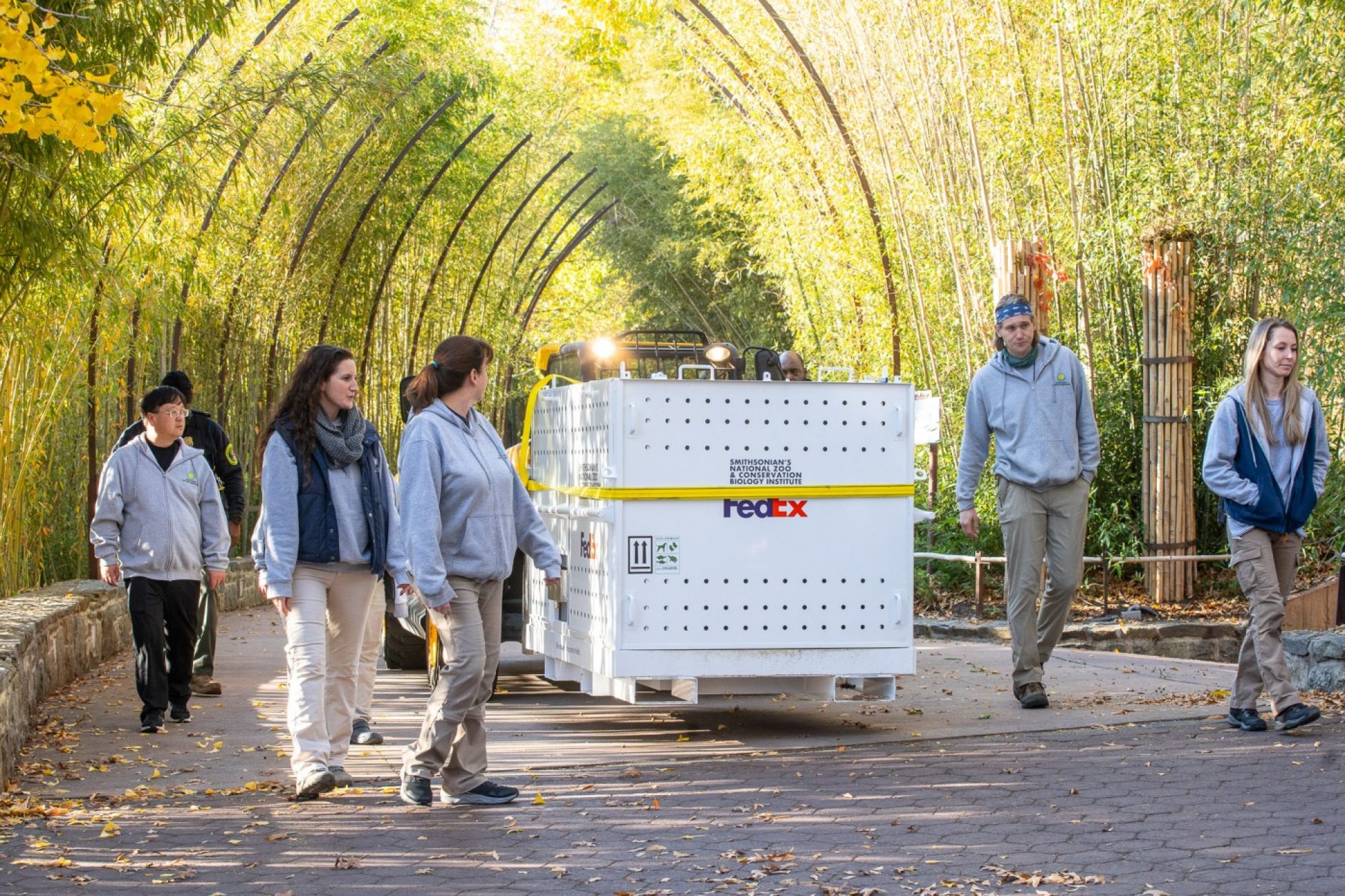 Giant panda Tian Tian departs the National Zoo in a crate on Nov. 8. Photo: Smithsonian’s National Zoo and Conservation Biology Institute