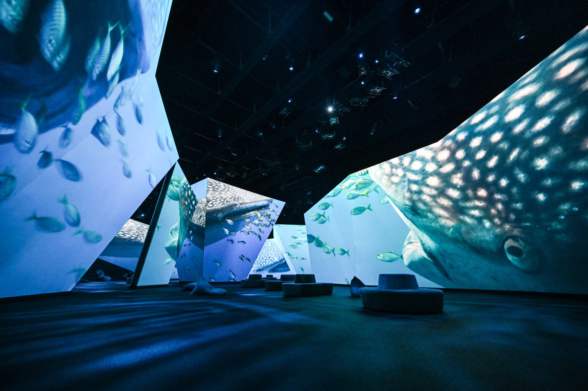 BBC Earth Experience, Melbourne makes immersive audiovisual