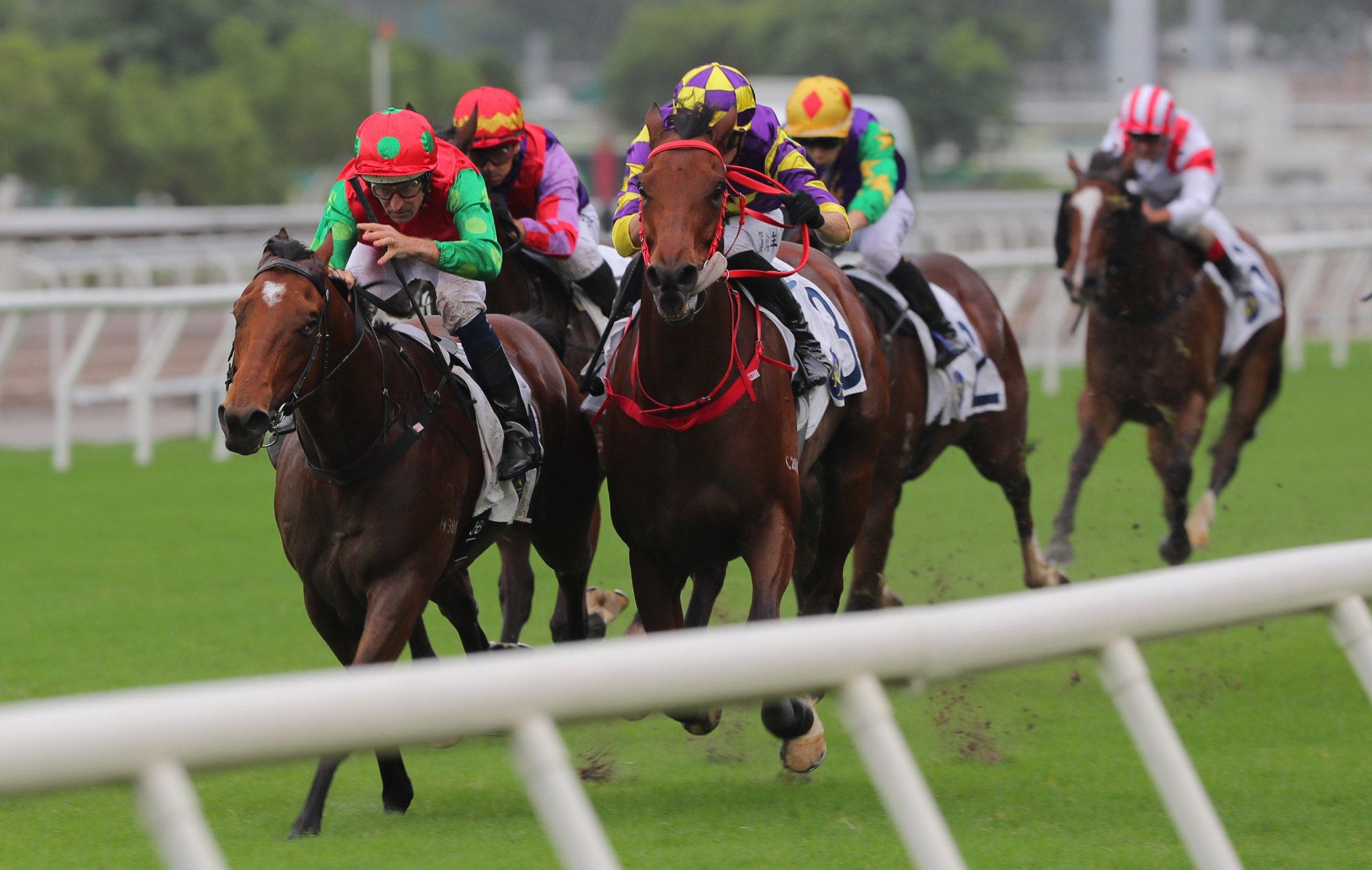Invincible Sage (left) denies Sparkling Knight in the Class Three Panasonic 4KTV Handicap (1,000m) on Saturday. Invincible Sage (left) denies Sparkling Knight in the Class Three Panasonic 4KTV Handicap (1,000m) on Saturday.