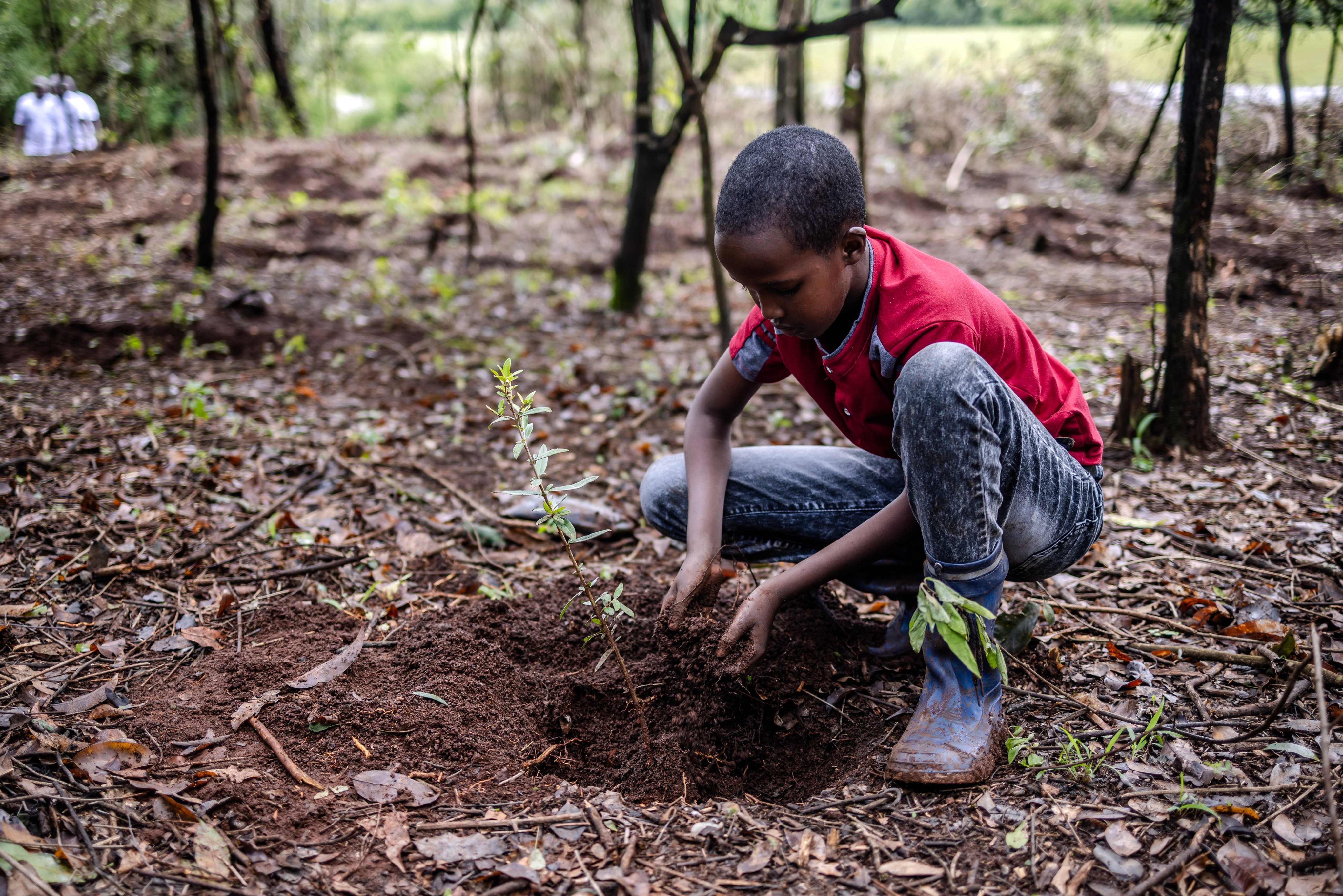 Isaac Molu, 11, plants a tree seedling on Monday in Kenya, part of a government campaign. Photo: AFP