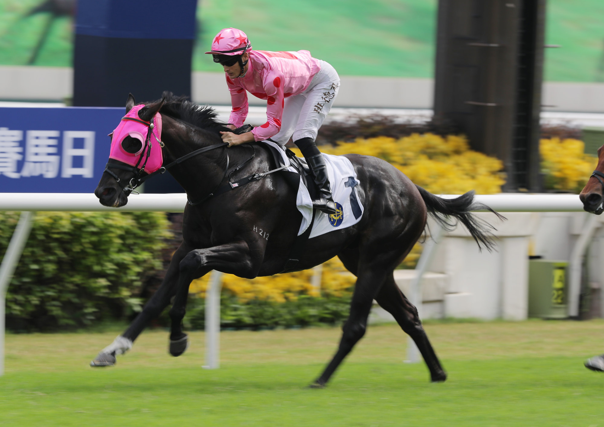 Harry Bentley salutes aboard Chancheng Glory at Sha Tin last month.