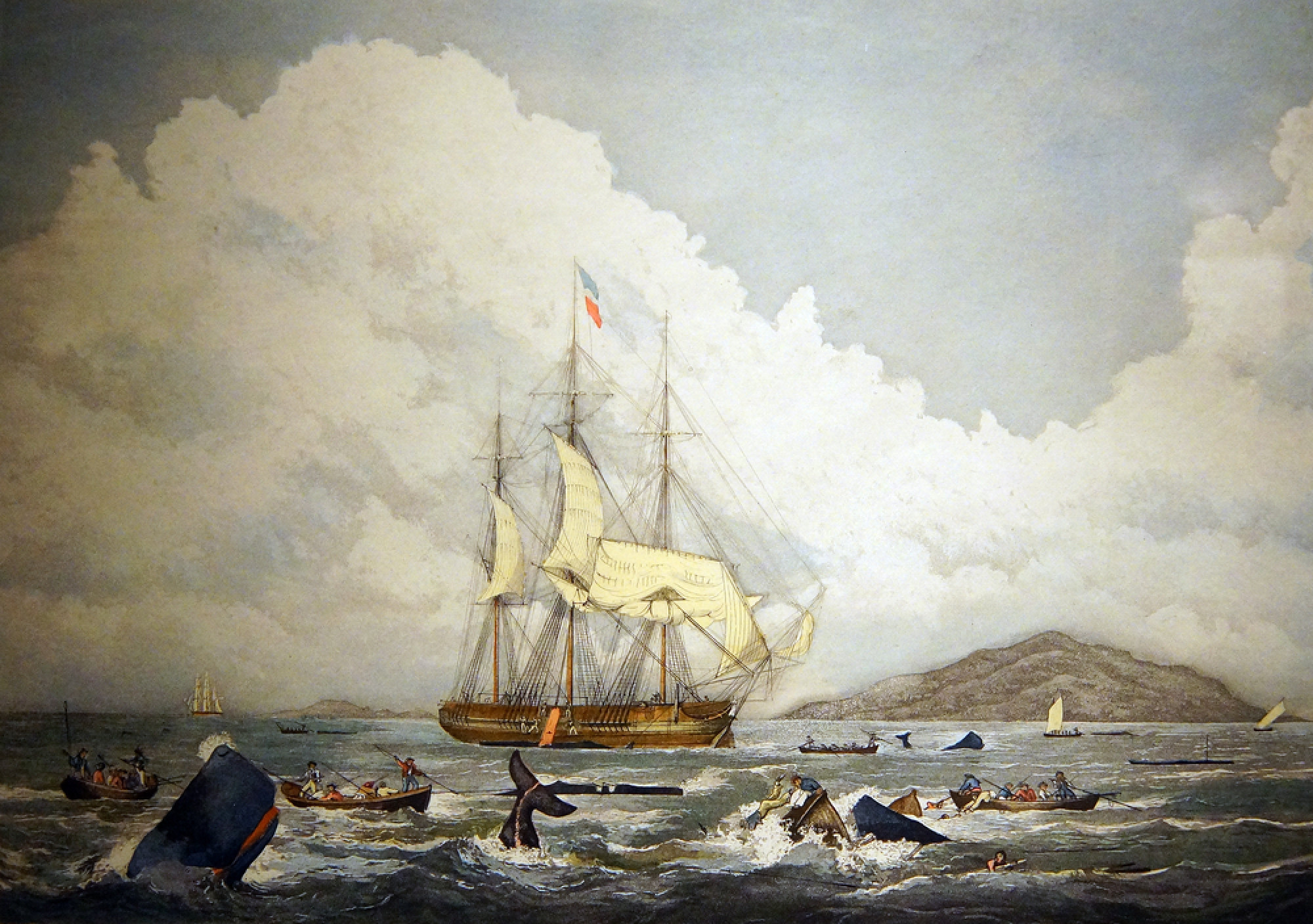 British whaling ships hunting sperm whales in the South Seas, in a 19th century engraving. Image: Shutterstock