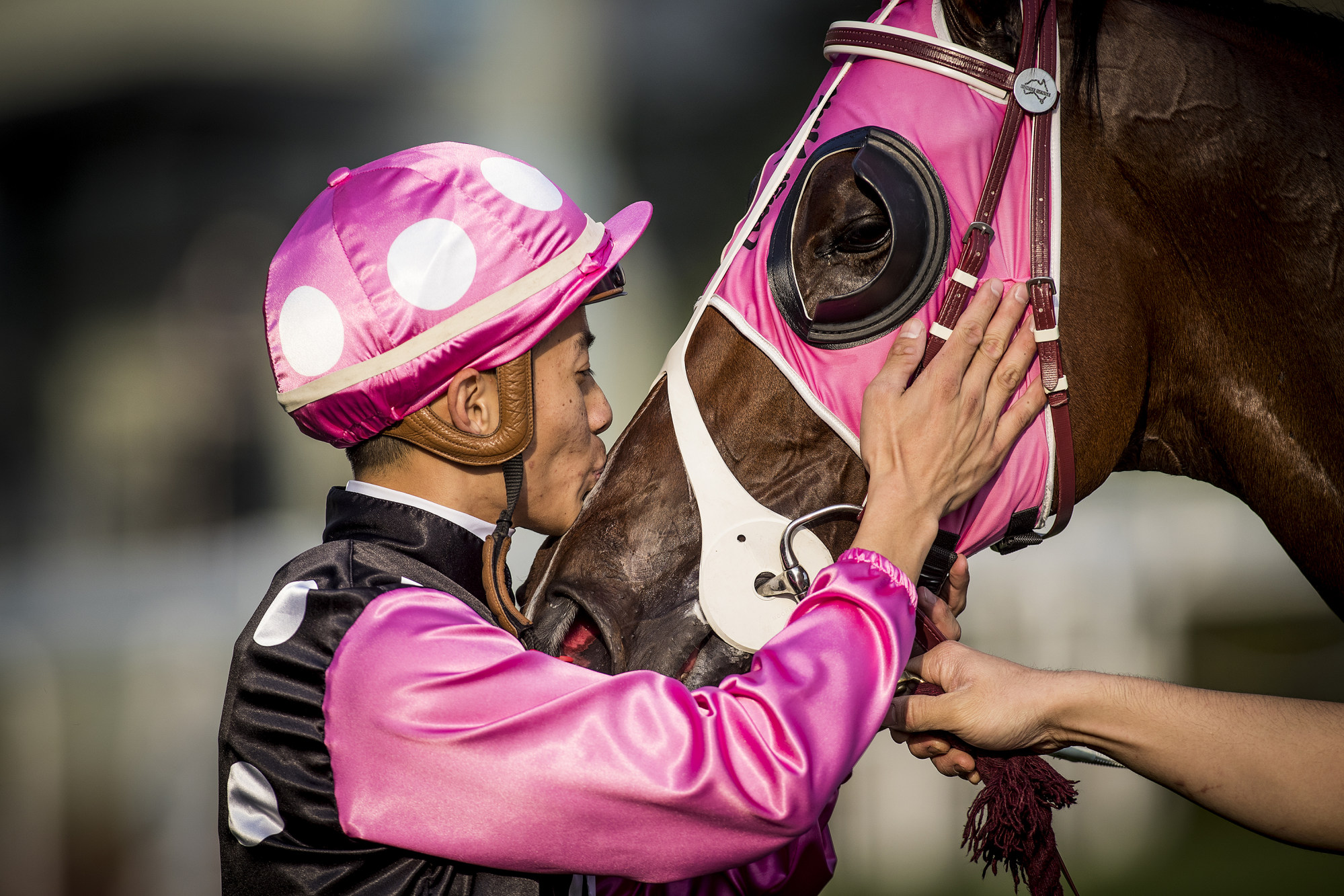 Derek Leung kisses Beauty Generation after the 2017 Group One Hong Kong Mile at Sha Tin. Photo: Alex Evers