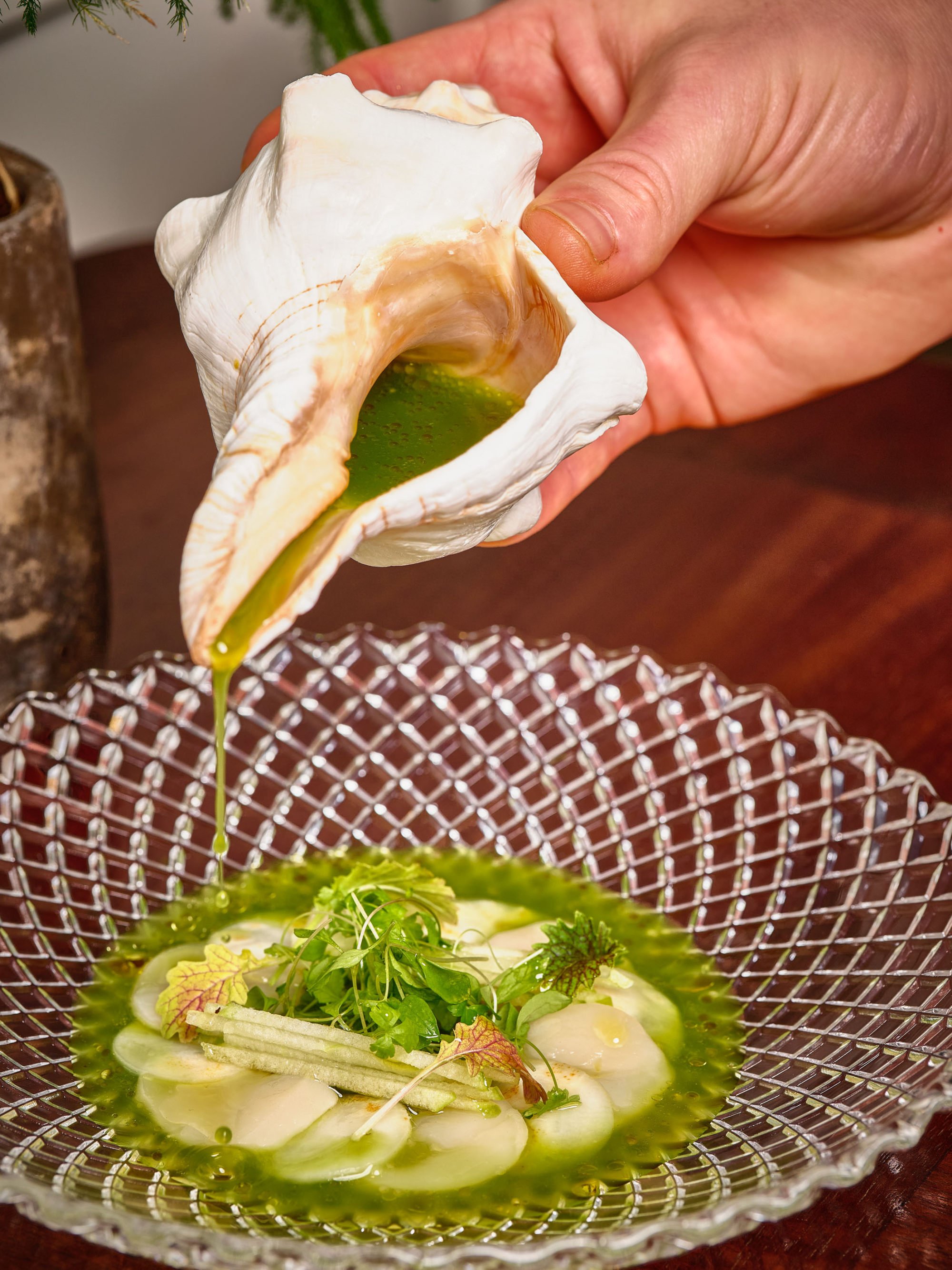 Canadian scallop at Asaya Kitchen. Photo: Handout