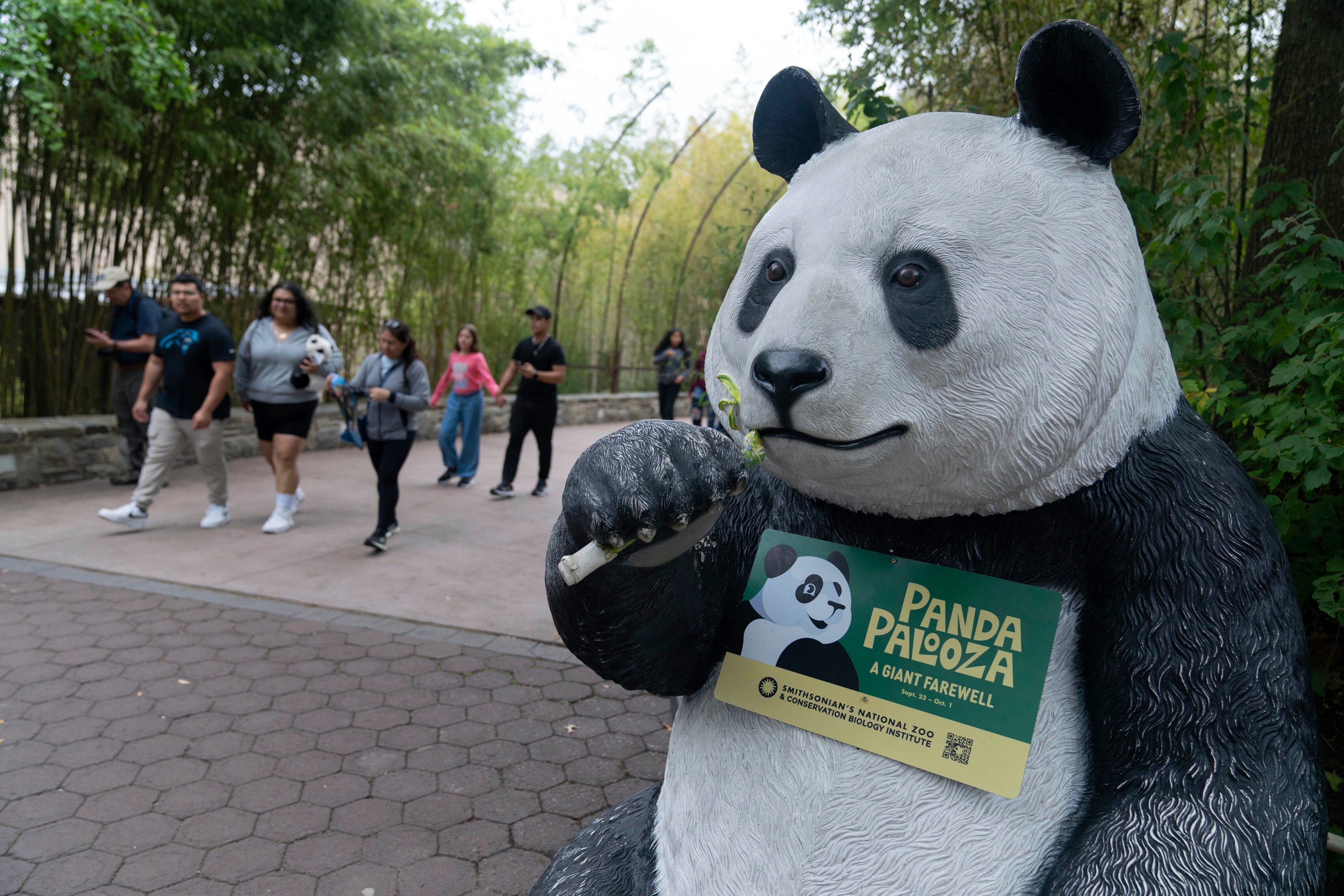 The giant panda exhibition at the National Zoo in Washington on September 28, ahead of the departure of three pandas earlier this month. Photo: AP