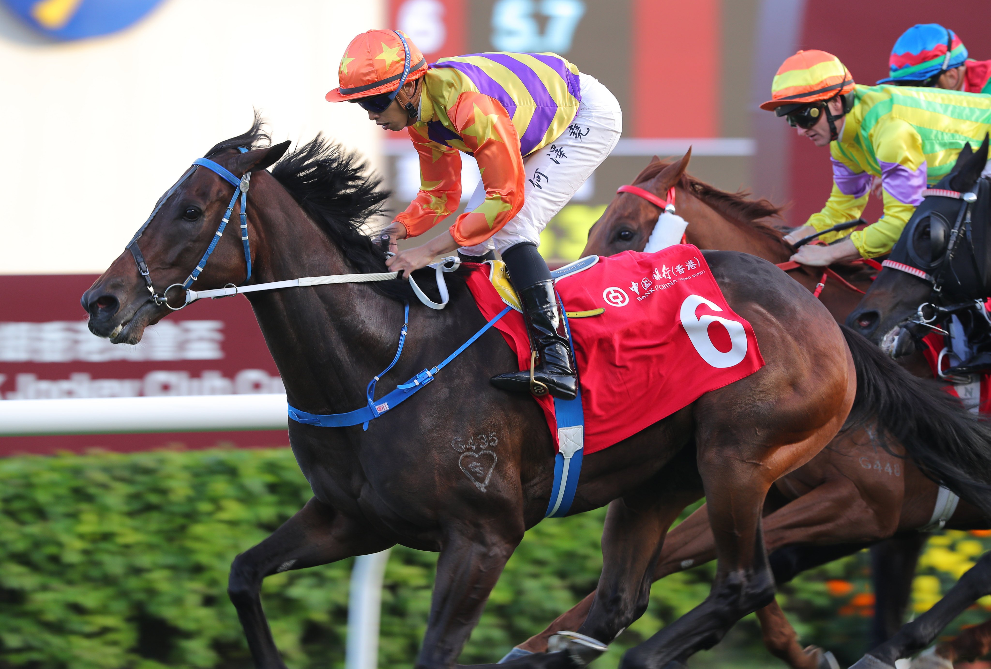 Straight Arron wins the Group Two BOCHK Jockey Club Cup (2,000m) at Sha Tin on Sunday. Photos: Kenneth Chan