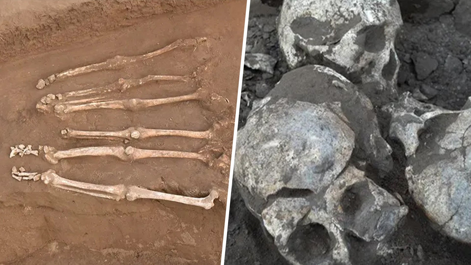 A 4,100-year-old mass grave uncovered in China has shed fresh light on what experts believe was the biggest headhunting massacre of the country’s Neolithic period. Photo: SCMP composite/Qian Wang, Texas A&M University