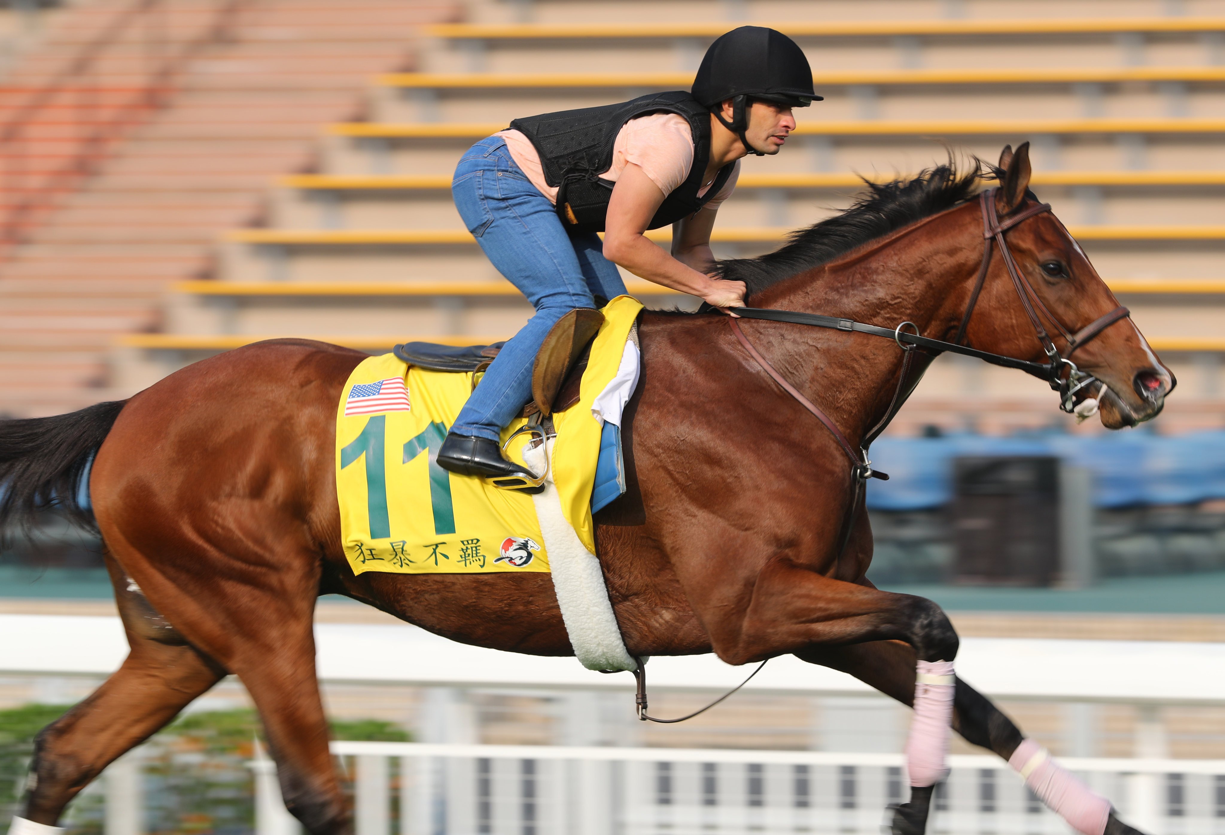 American sprinter Stormy Liberal gallops at Sha Tin ahead of the 2017 Group One Hong Kong Sprint (1,200m). Photo: Kenneth Chan