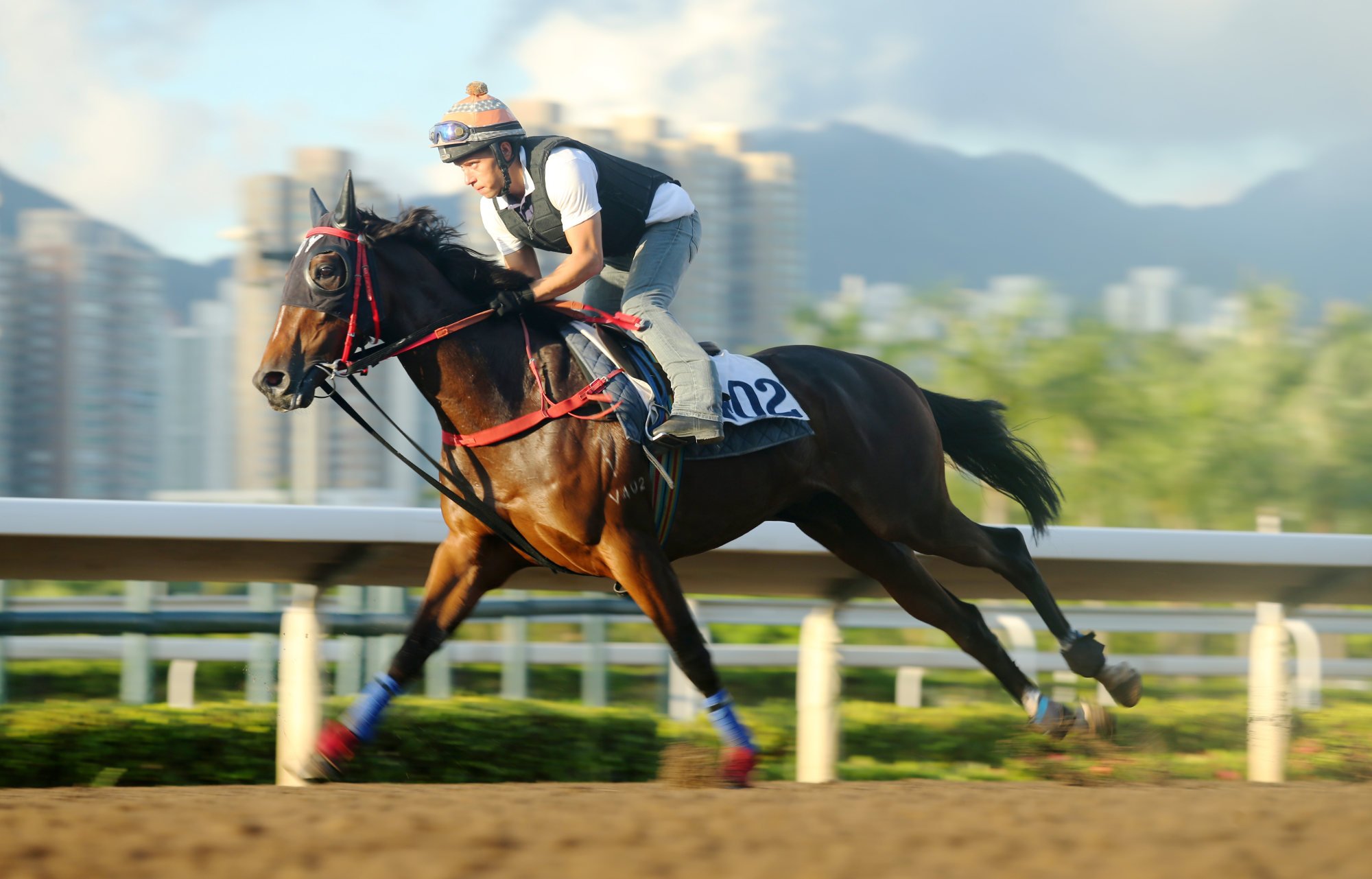 So Generous gallops on Sha Tin’s all-weather track in July 2017 during his unsuccessful racing career.