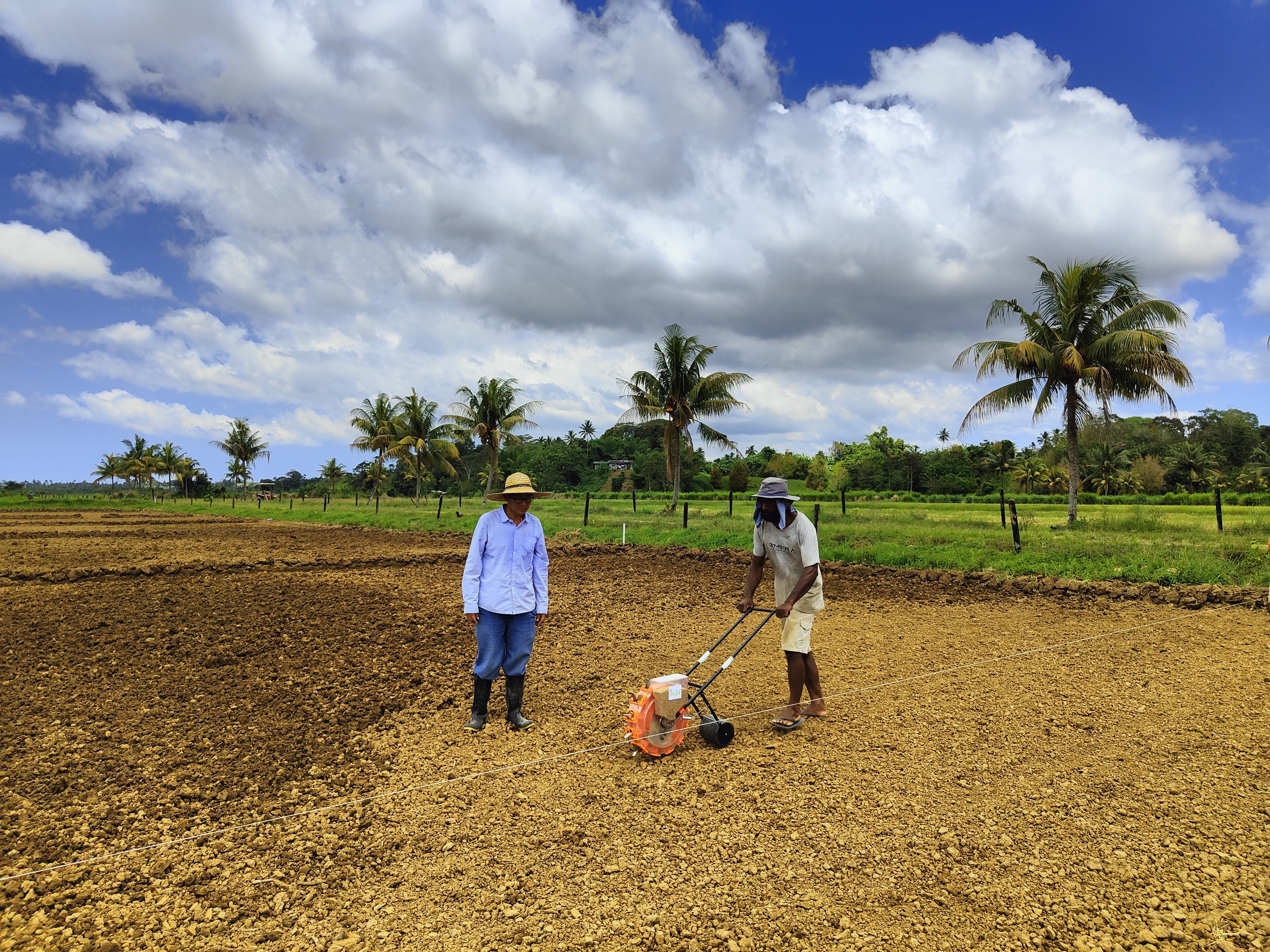 A Fijian farmer tries out a high-efficiency rice seed planter at a demonstration site, under the supervision of Chinese team leader Chen Huazao. Photo: Ma Tengfei