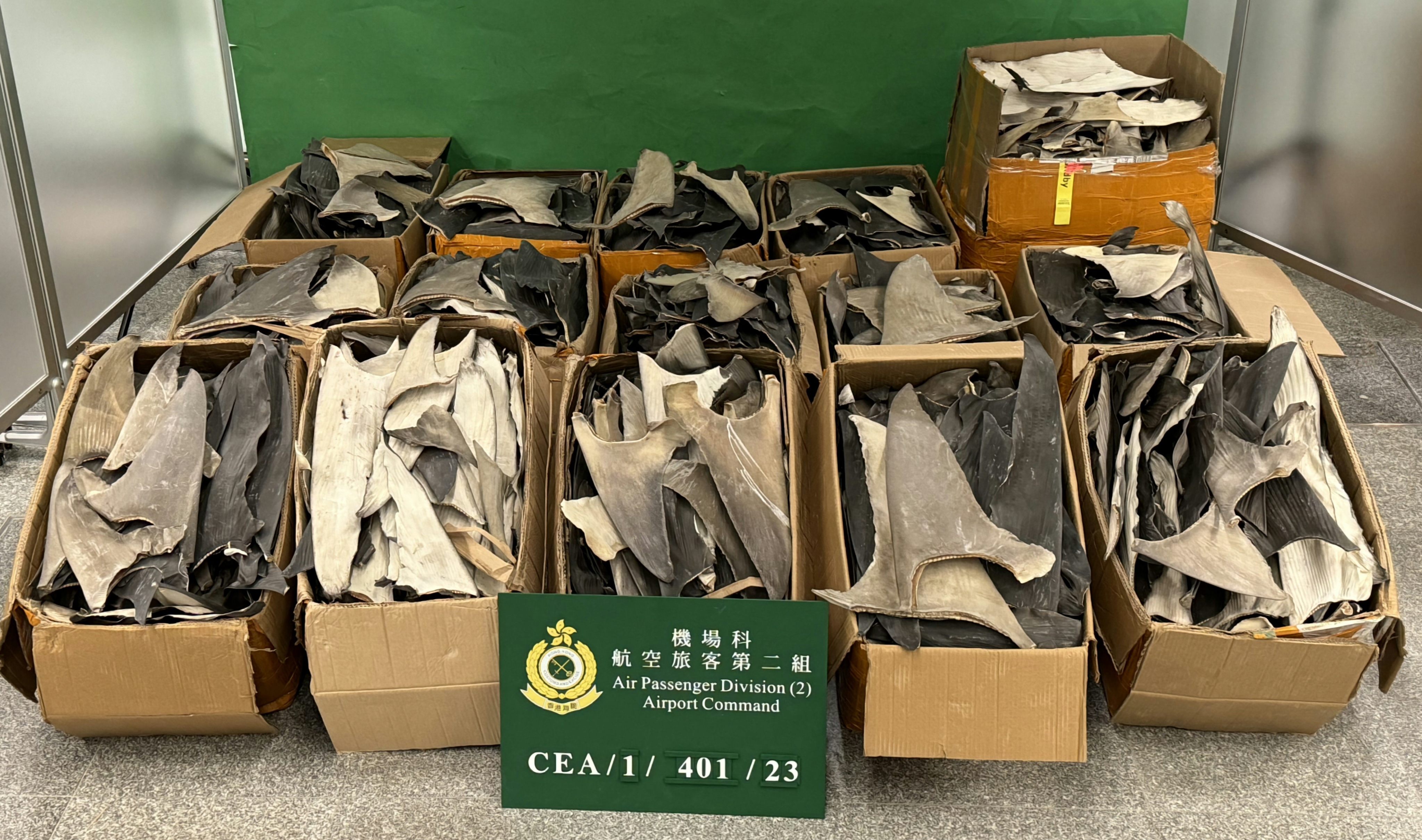Customs has said it suspects that some of the fins belong to sharks from endangered species. Photo: Handout 