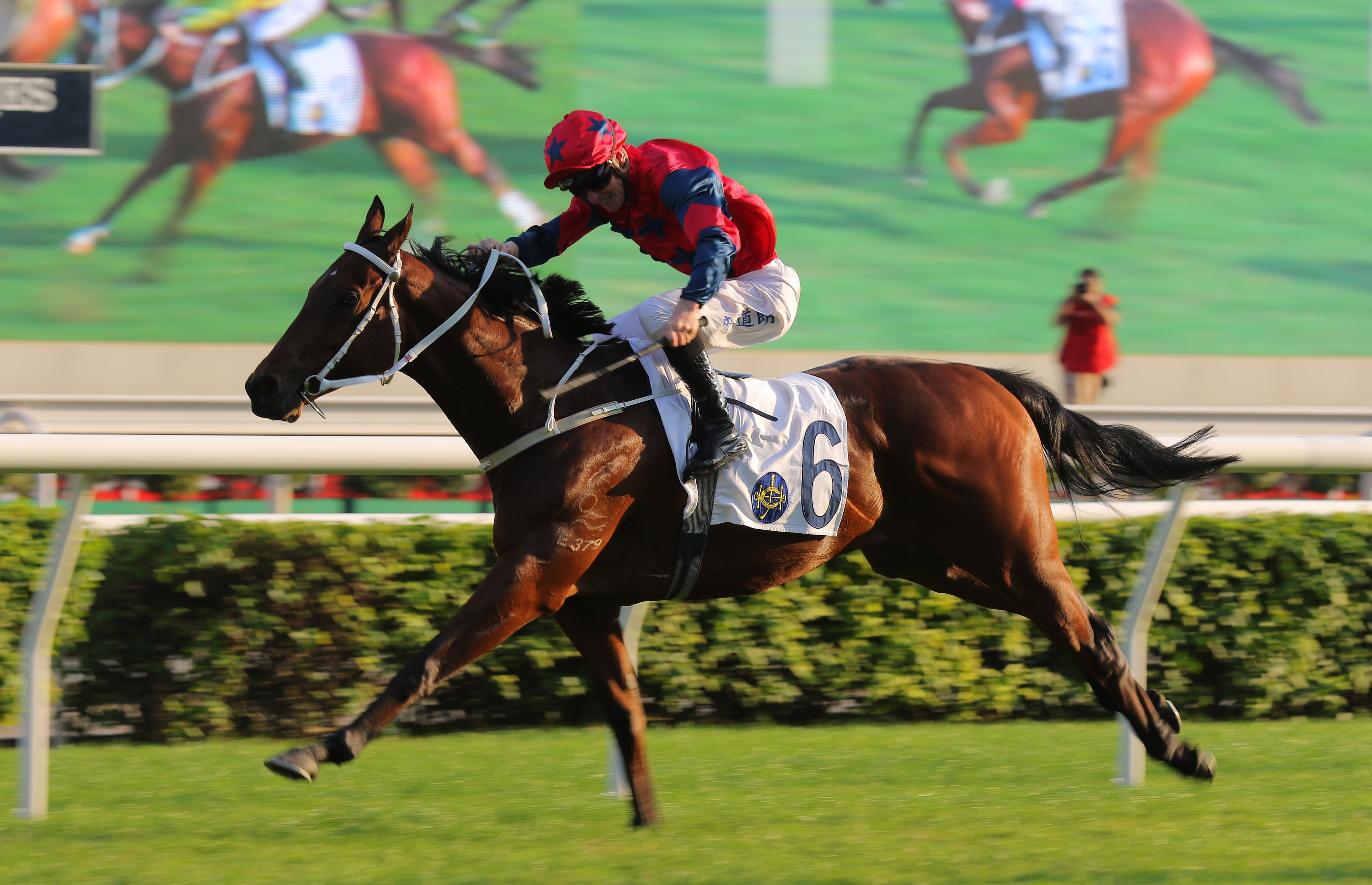 The Golden Scenery extends under James McDonald to win the Class One Chevalier Cup (1,600m) at Sha Tin on Sunday. Photo: Kenneth Chan