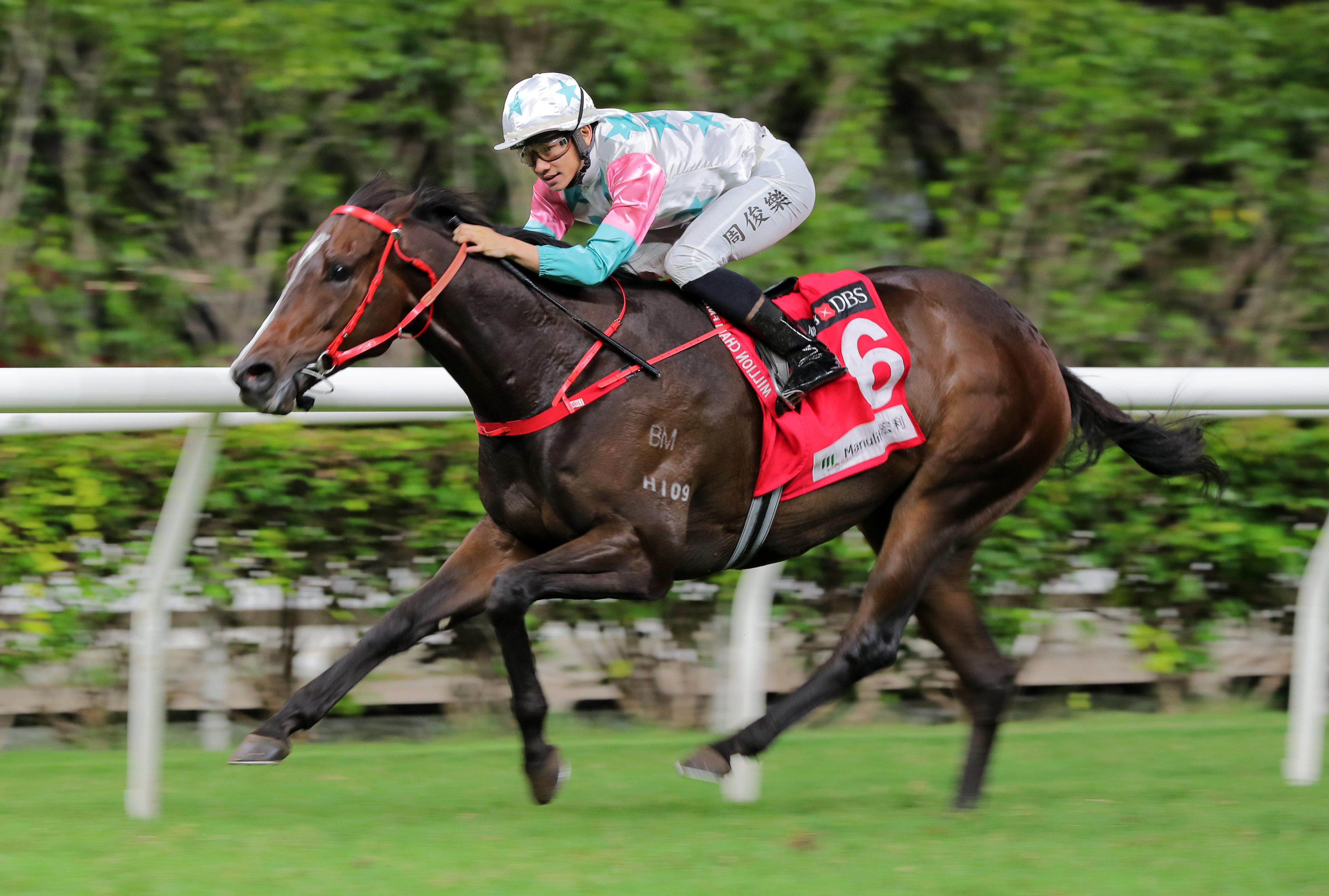 Chill Chibi wins the Class Three Hanshin Handicap (1,650m) at Happy Valley earlier this month. Photo: Kenneth Chan.