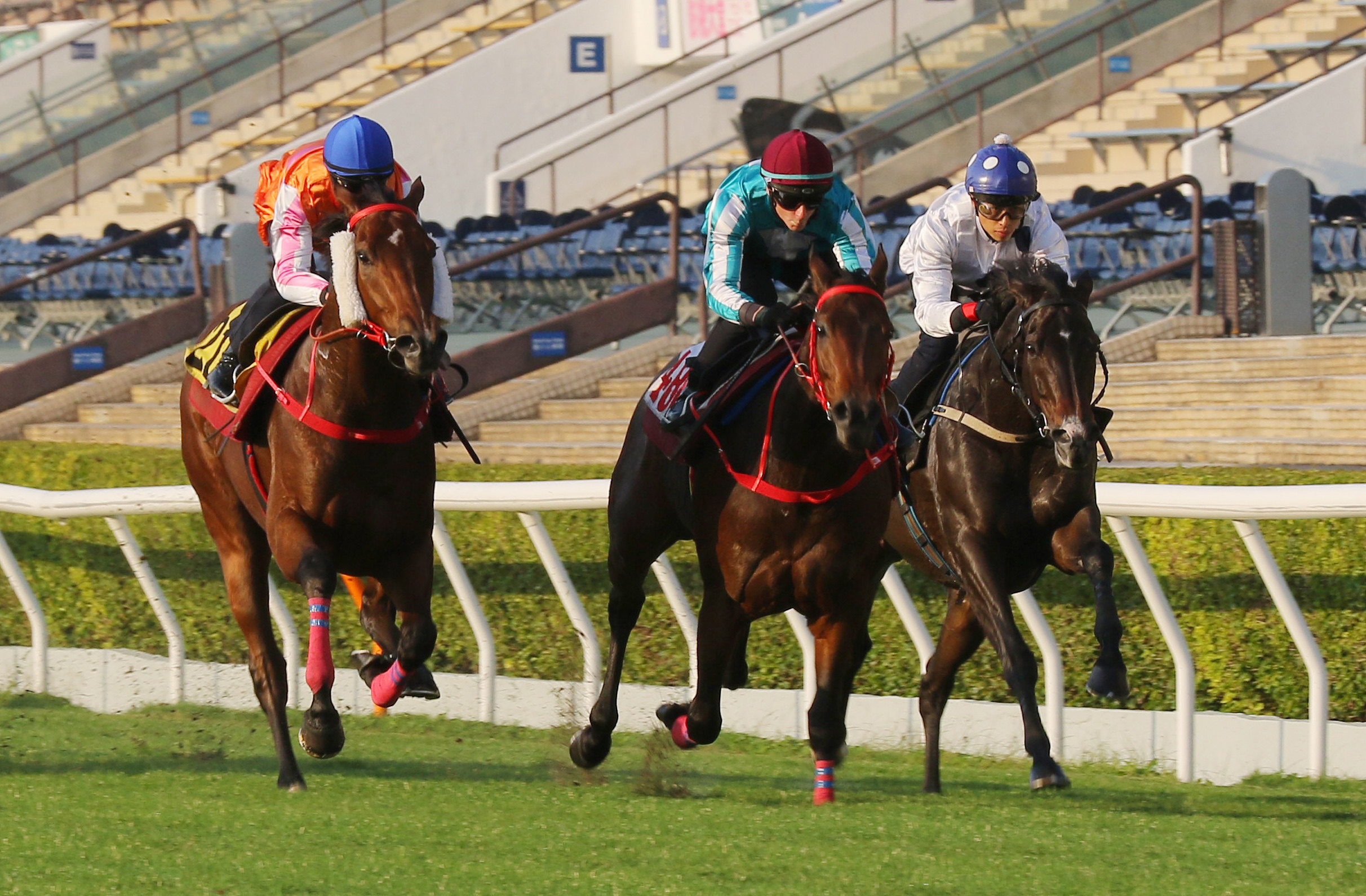 Golden Sixty (right) and Romantic Warrior (centre) prepare for HKIR in a 1,600m turf trial at Sha Tin on Tuesday morning. Photo: Kenneth Chan