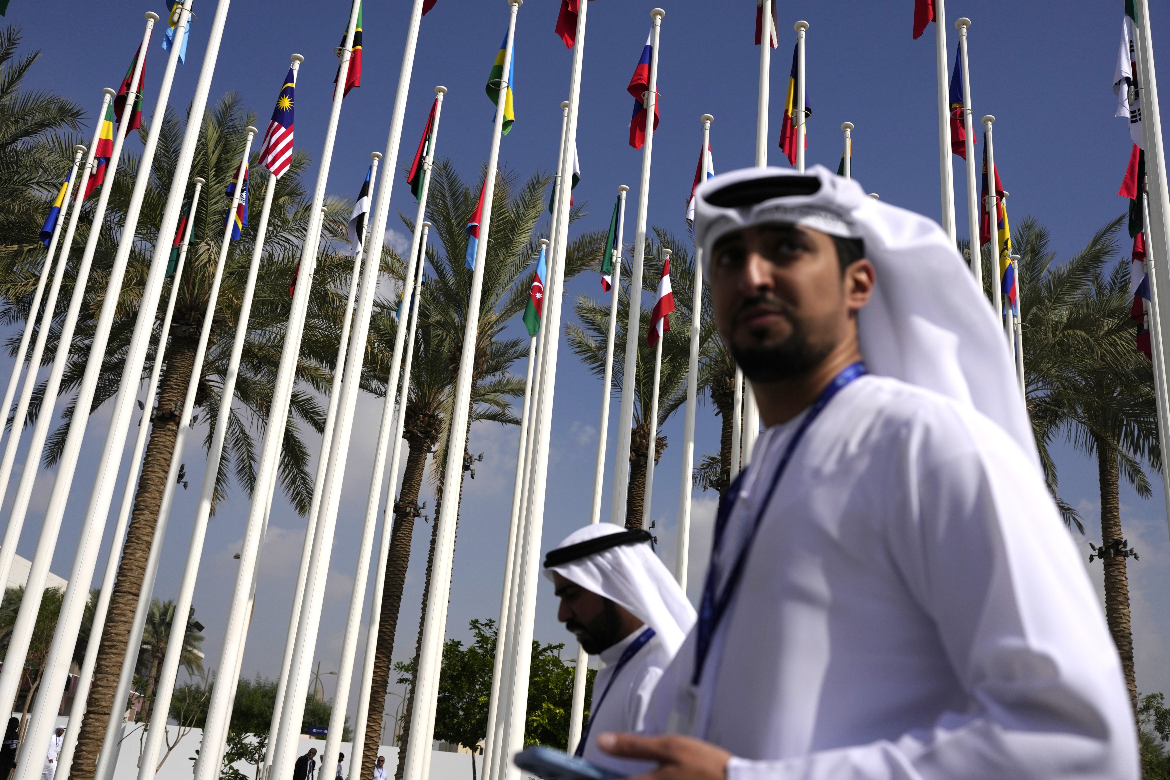 Country flags are seen on November 29, ahead of the Cop28 UN Climate Summit in Dubai, United Arab Emirates. Photo: AP