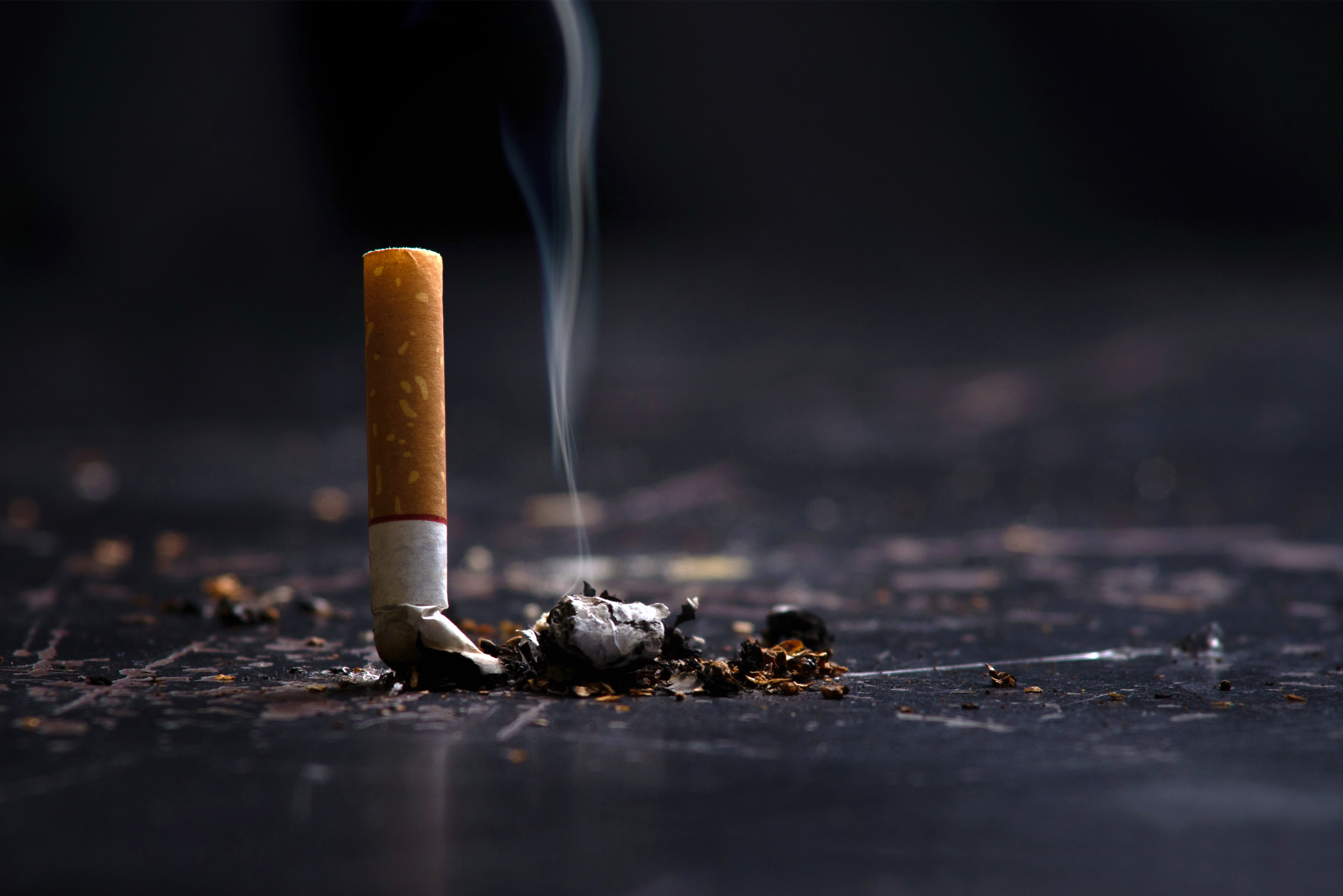 Cigarette butts are among the most littered items in the world. Photo: Shutterstock Images