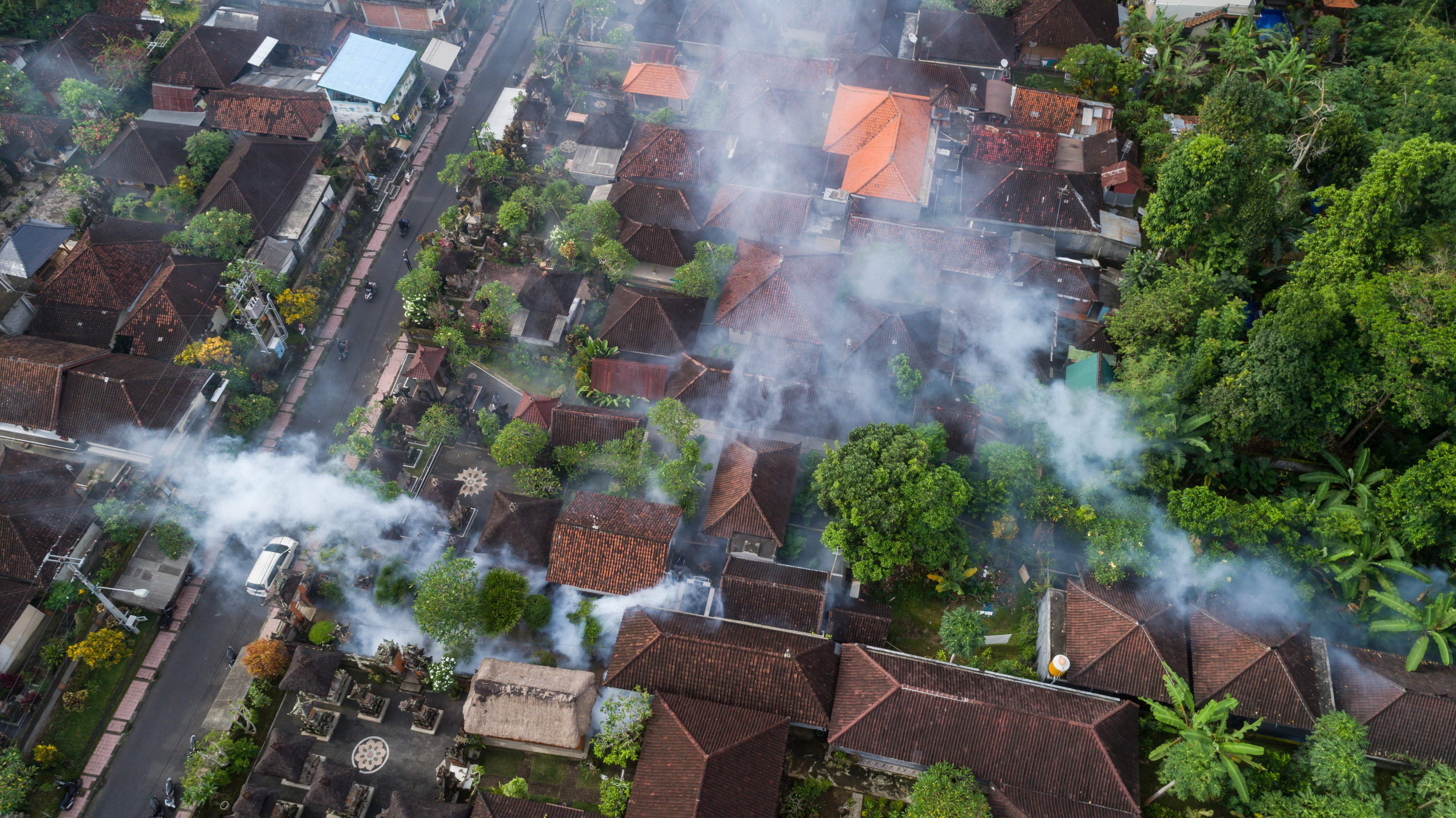 Indonesian workers fog a residential area in Ubud, Bali, with insecticides to kill the Aedes mosquito. Photo: Shutterstock 