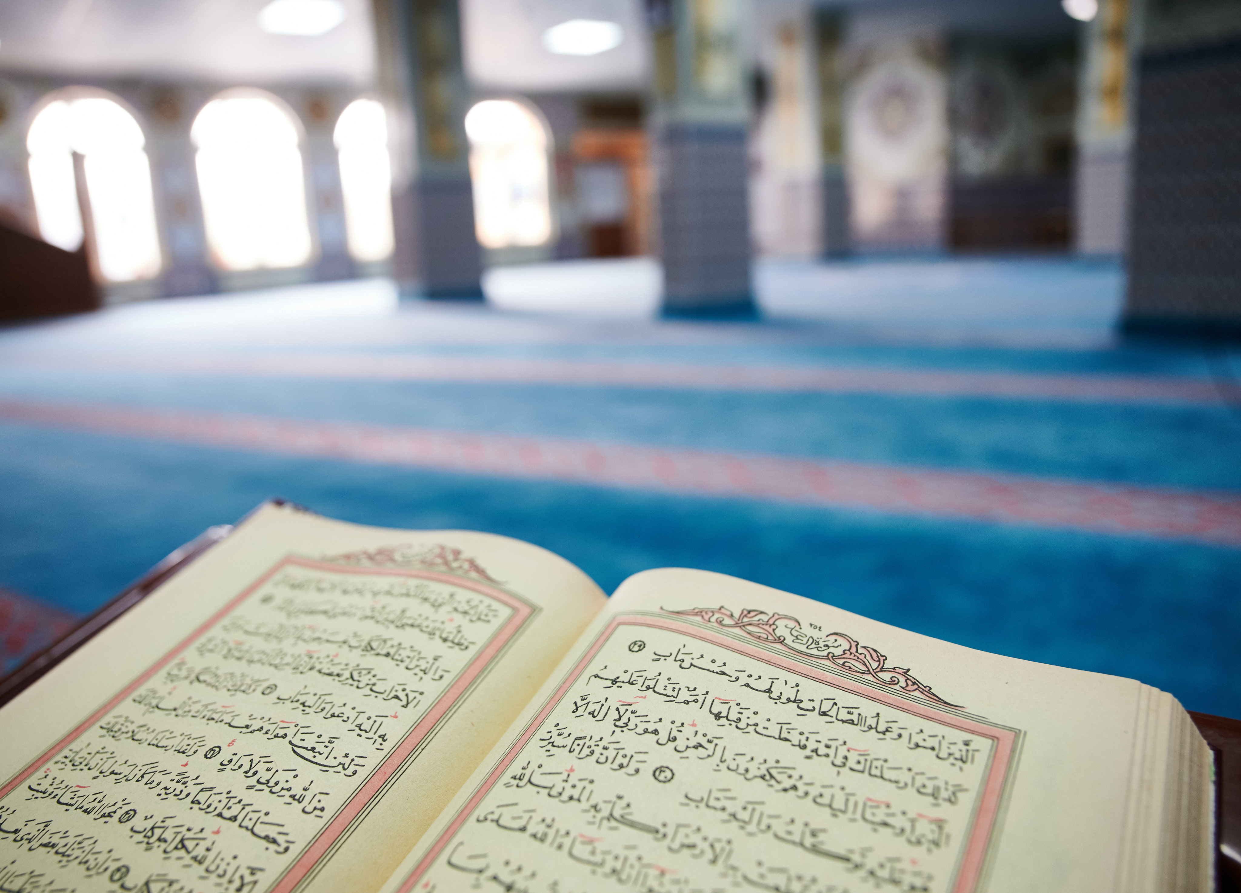 Denmark has adopted a law that bans the burning of the Koran. Photo: dpa