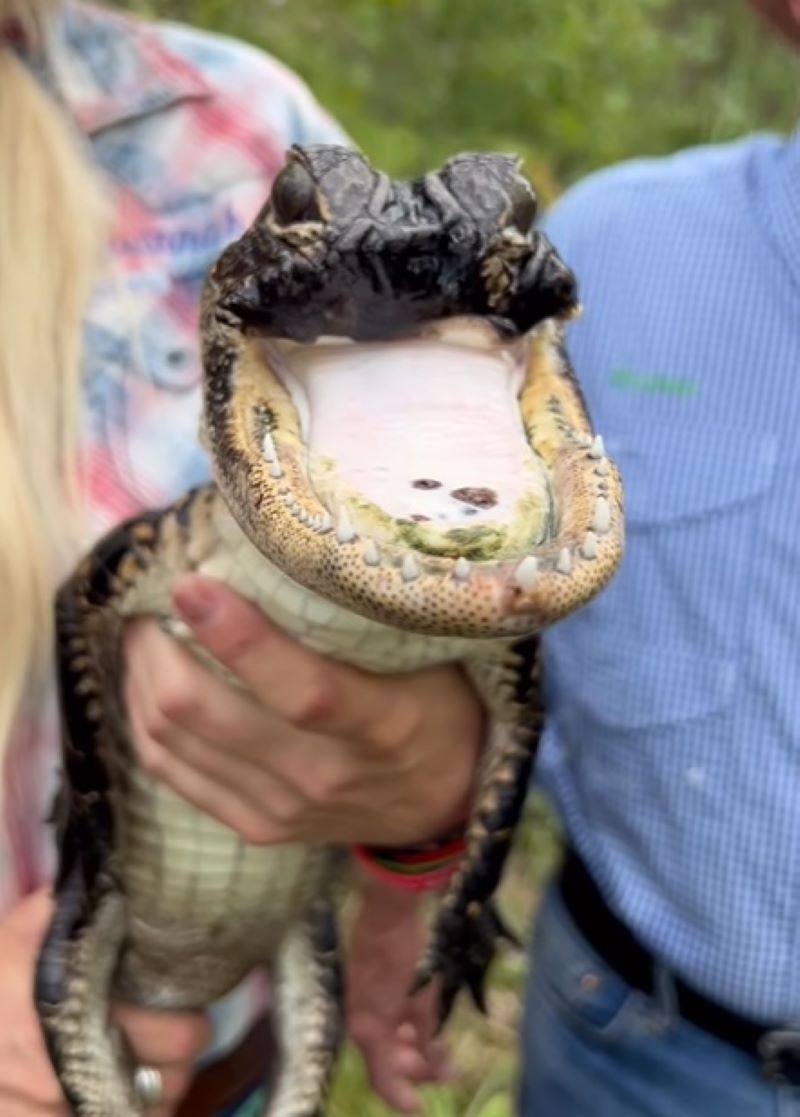 Jawlene may be missing her upper jaw, but she doesn’t let it stop her from thriving. Photo: Instagram