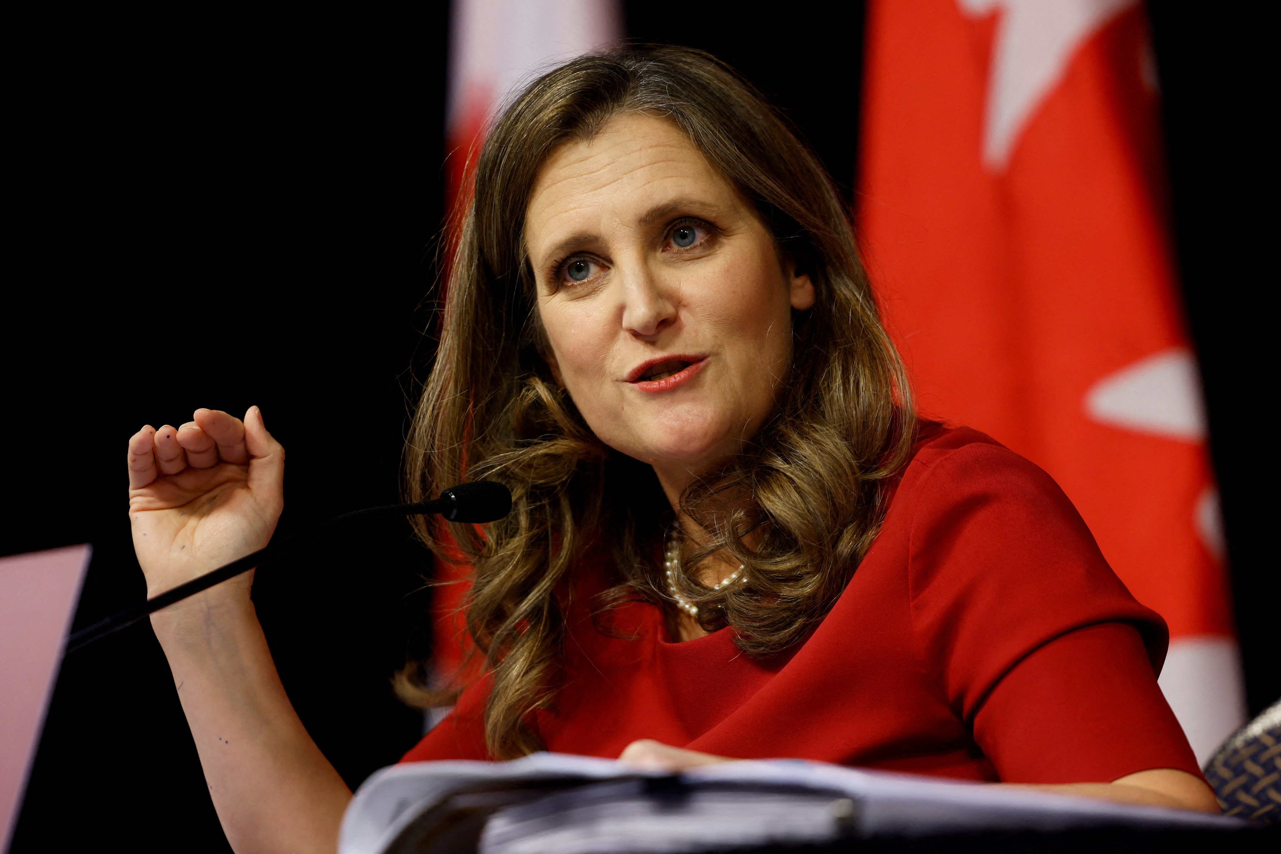 Canada’s Deputy Prime Minister Chrystia Freeland takes part in a press conference in Ottawa in November. Photo: Reuters