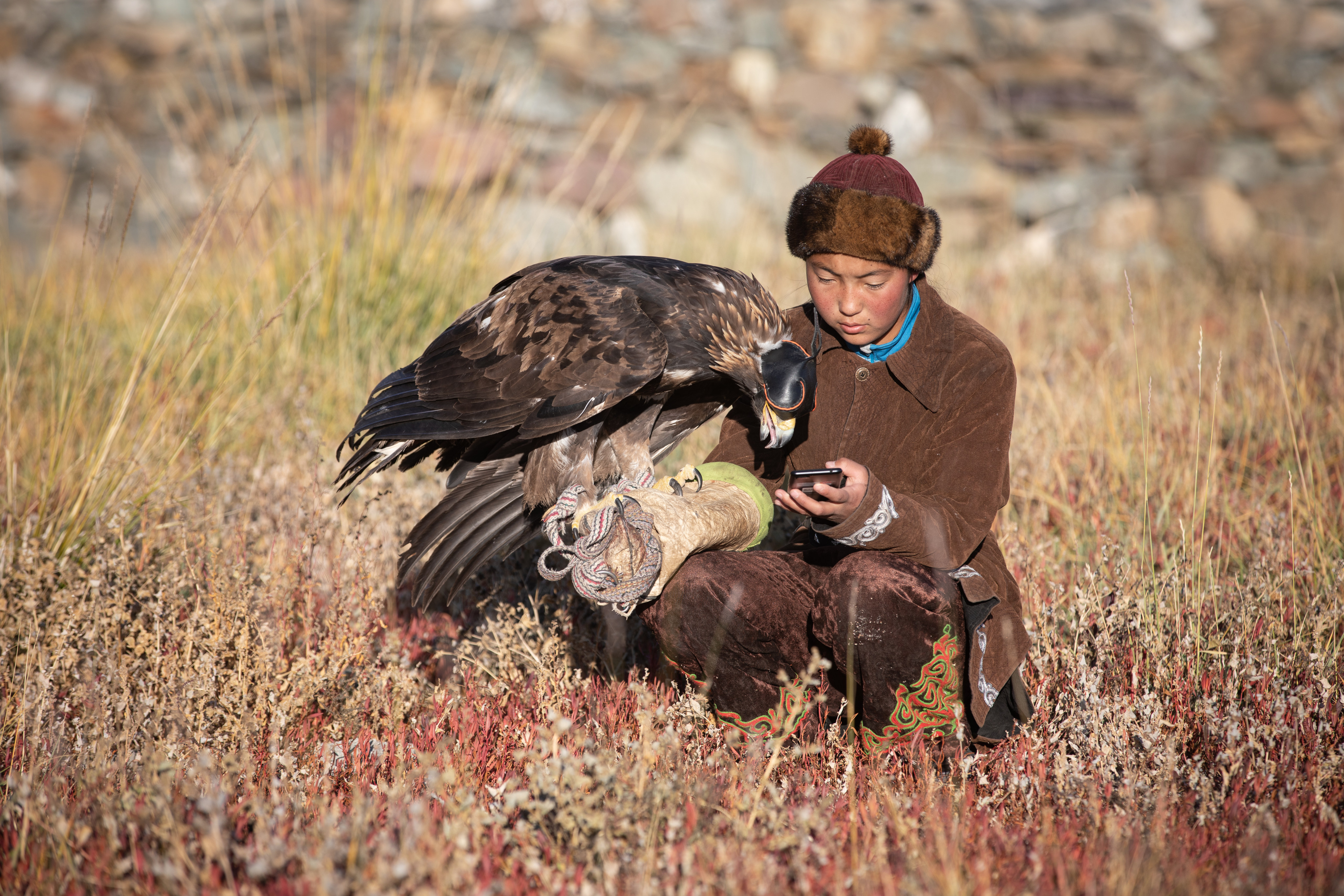 A traditional Kazakh eagle hunter in Ulgii, Western Mongolia, watches her mobile phone with her golden eagle, which she uses to hunt foxes and rabbits for their fur. Broadband internet is helping preserve nomadic culture on the Mongolian steppe. Photo: Getty Images