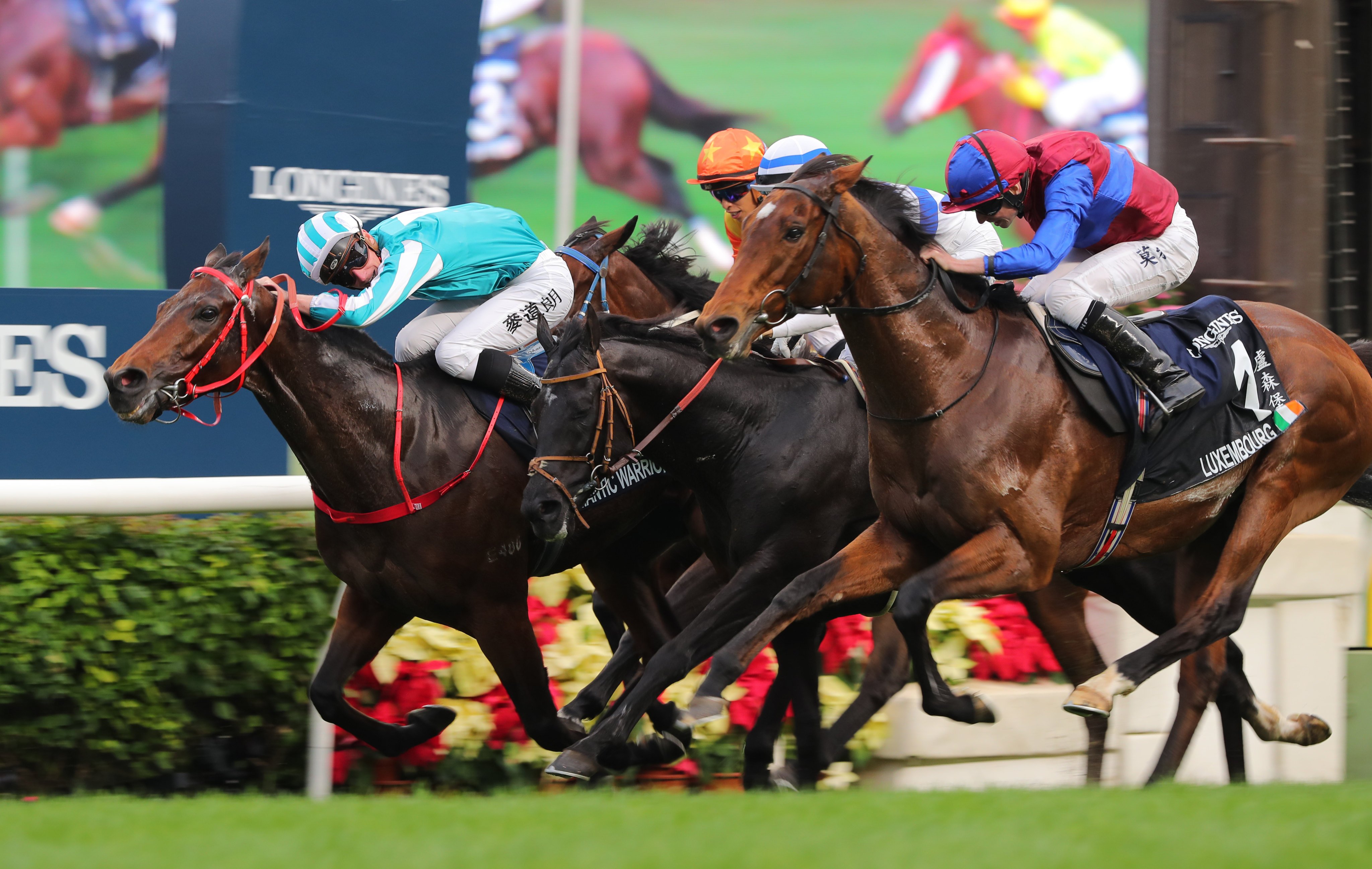Romantic Warrior wins the Group One Longines Hong Kong Cup (2,000m) at Sha Tin on Sunday. Photos: Kenneth Chan